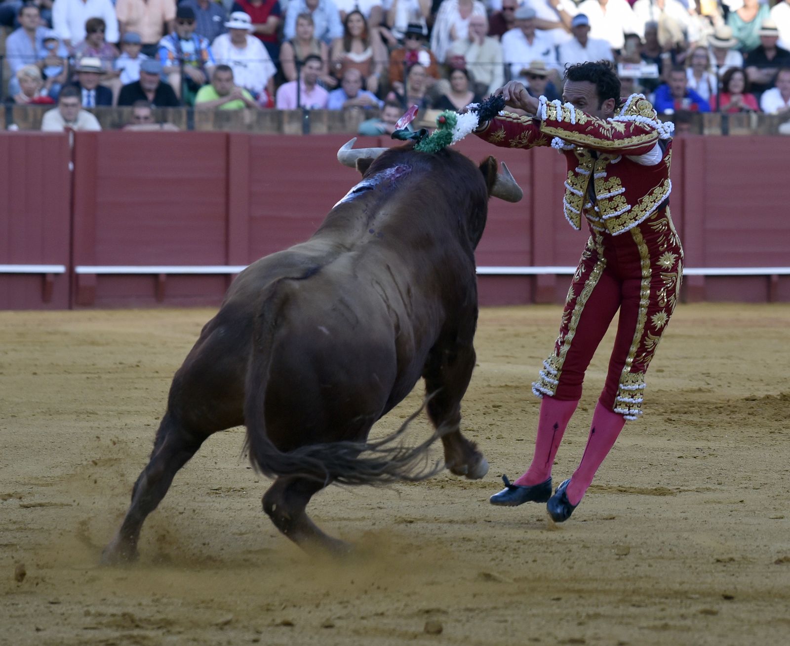 Las imágenes de la 13ª corrida de abono de La Maestranza