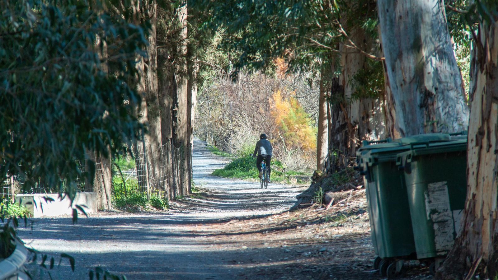 Una persona pasea con su bicicleta por un sendero de Vélez de Benaudalla
