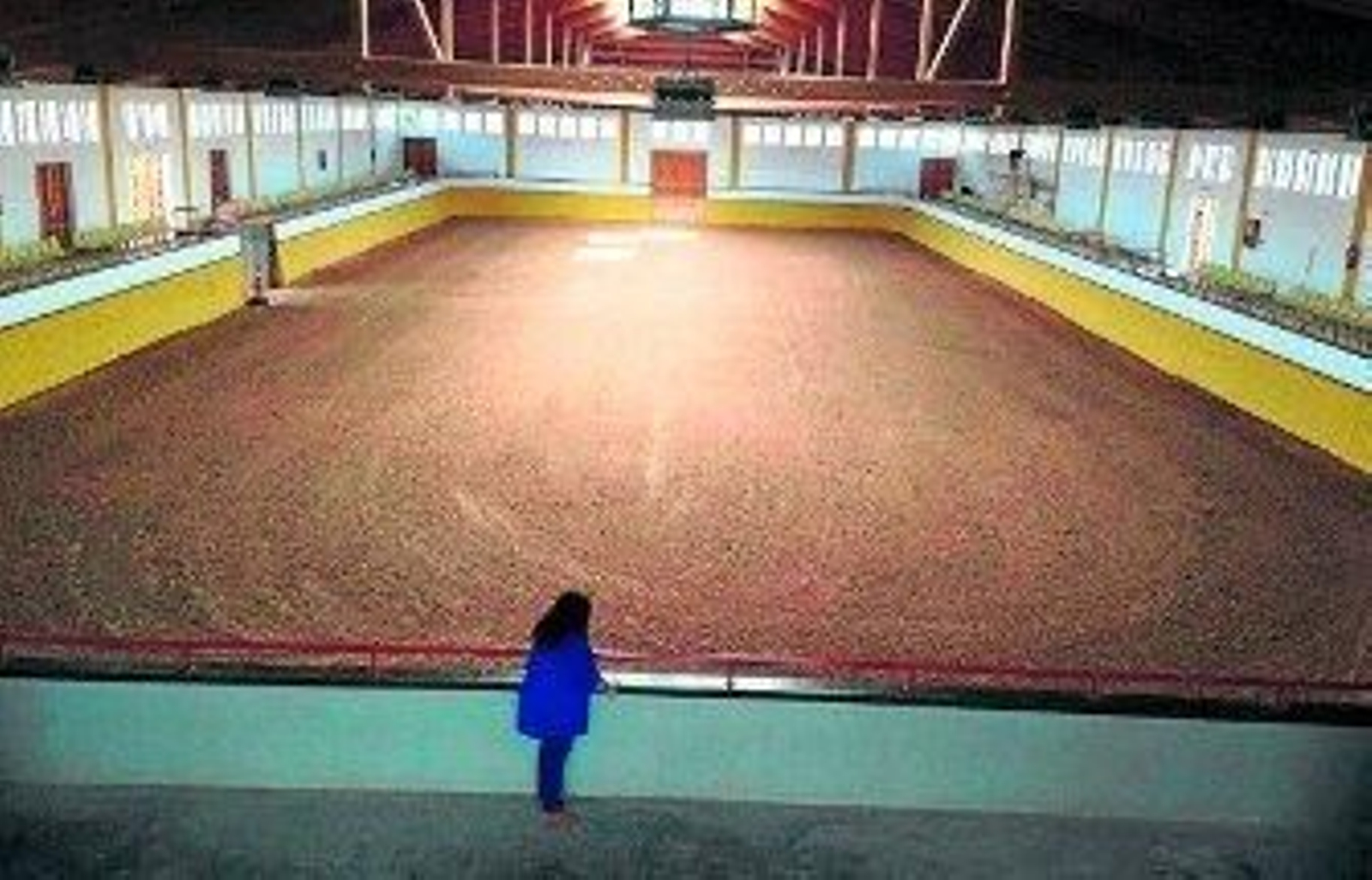 La Escuela de Equitación, a debate