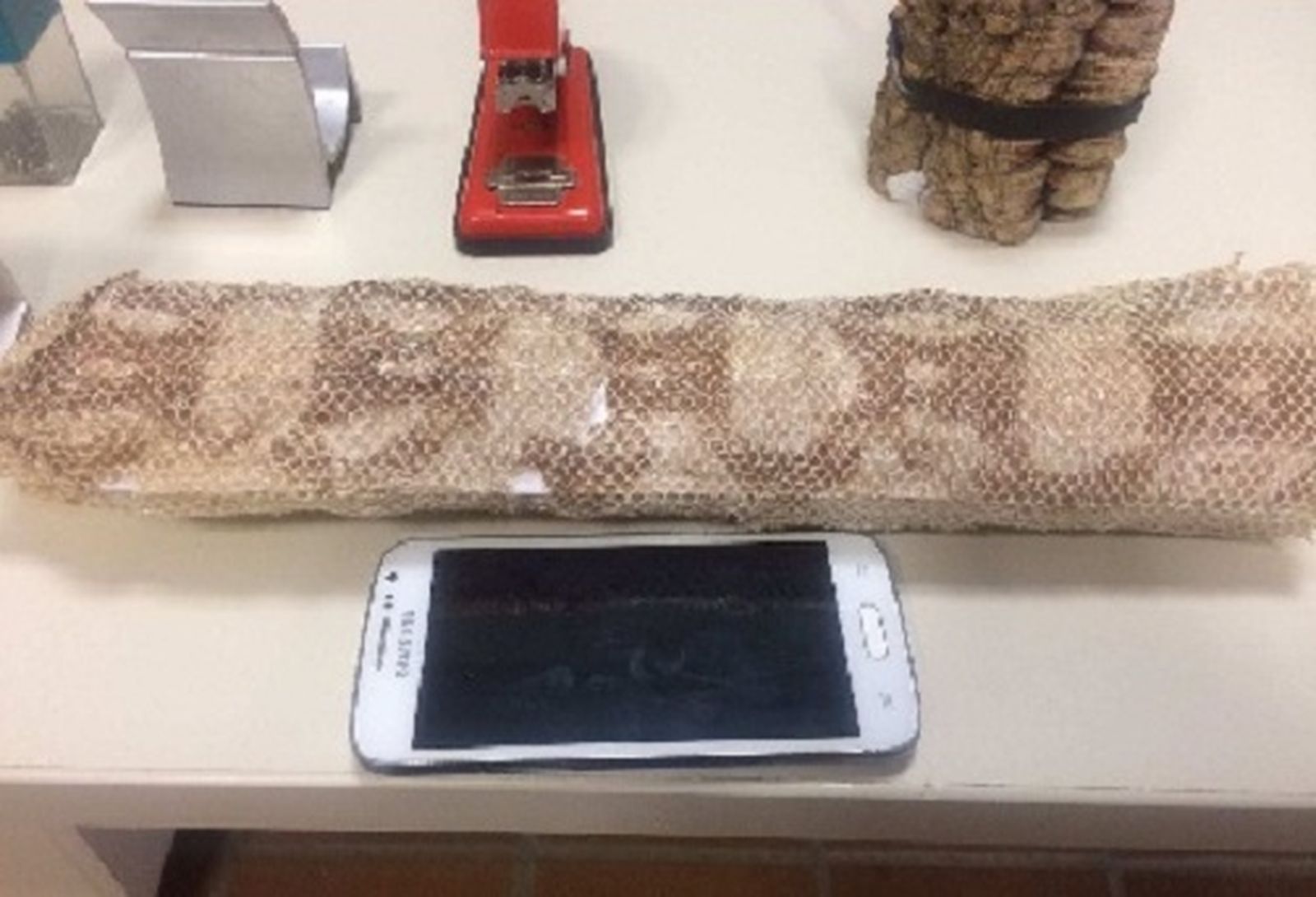 Piel de la serpiente que se busca en Hornachuelos.