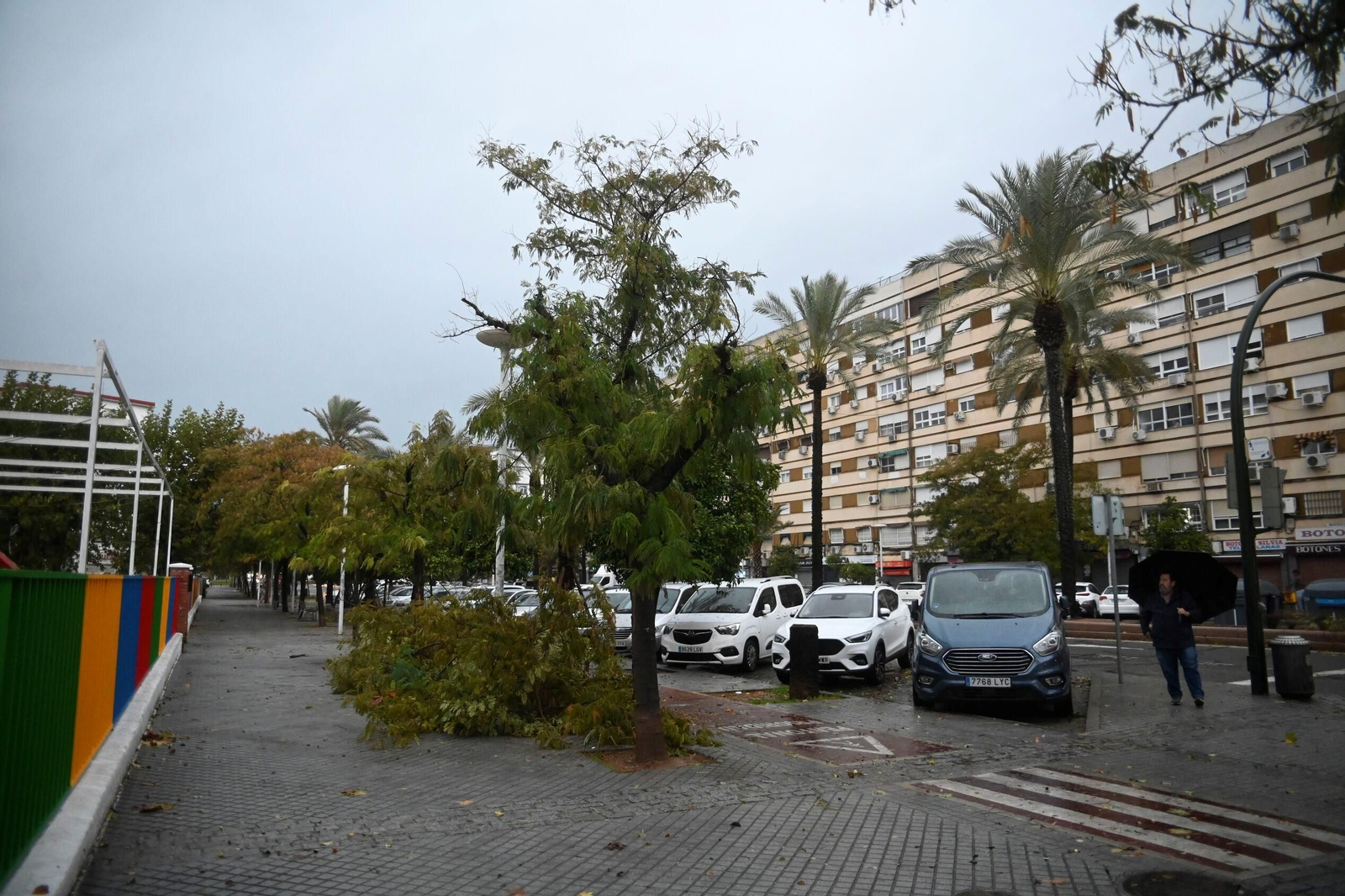 Las imágenes de los daños causados por el fuerte viento en el Sector Sur en Córdoba