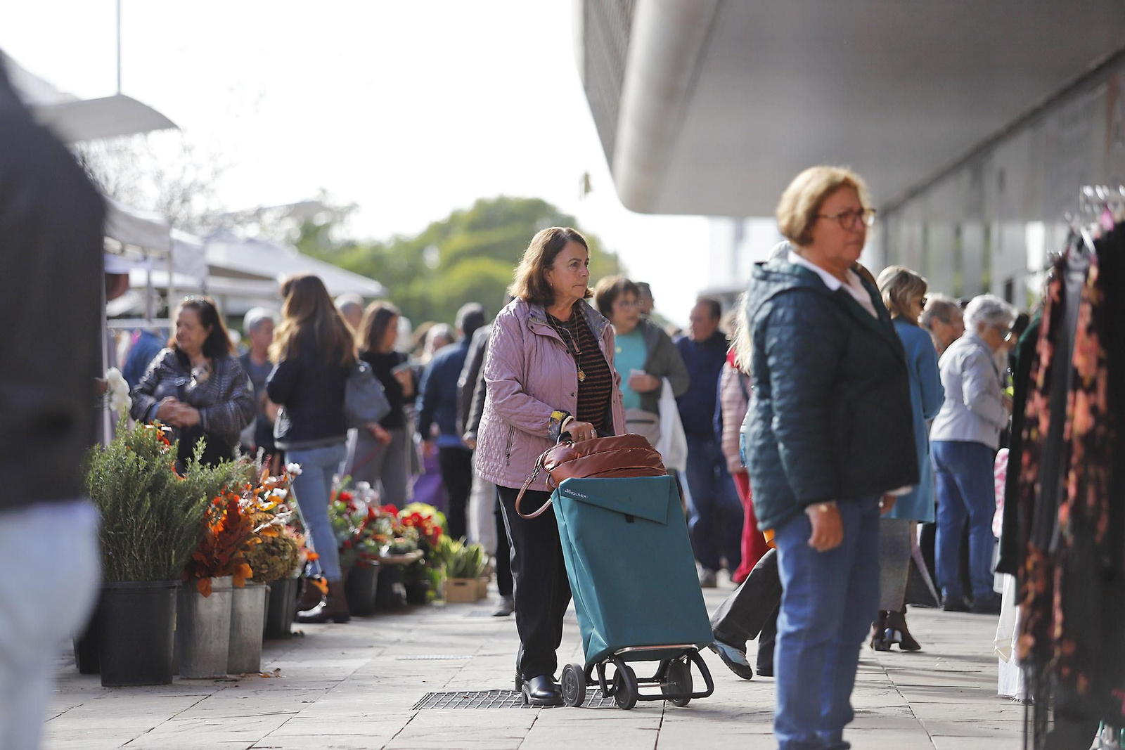 Imágenes del ambiente en el zoco del Mercado del Carmen