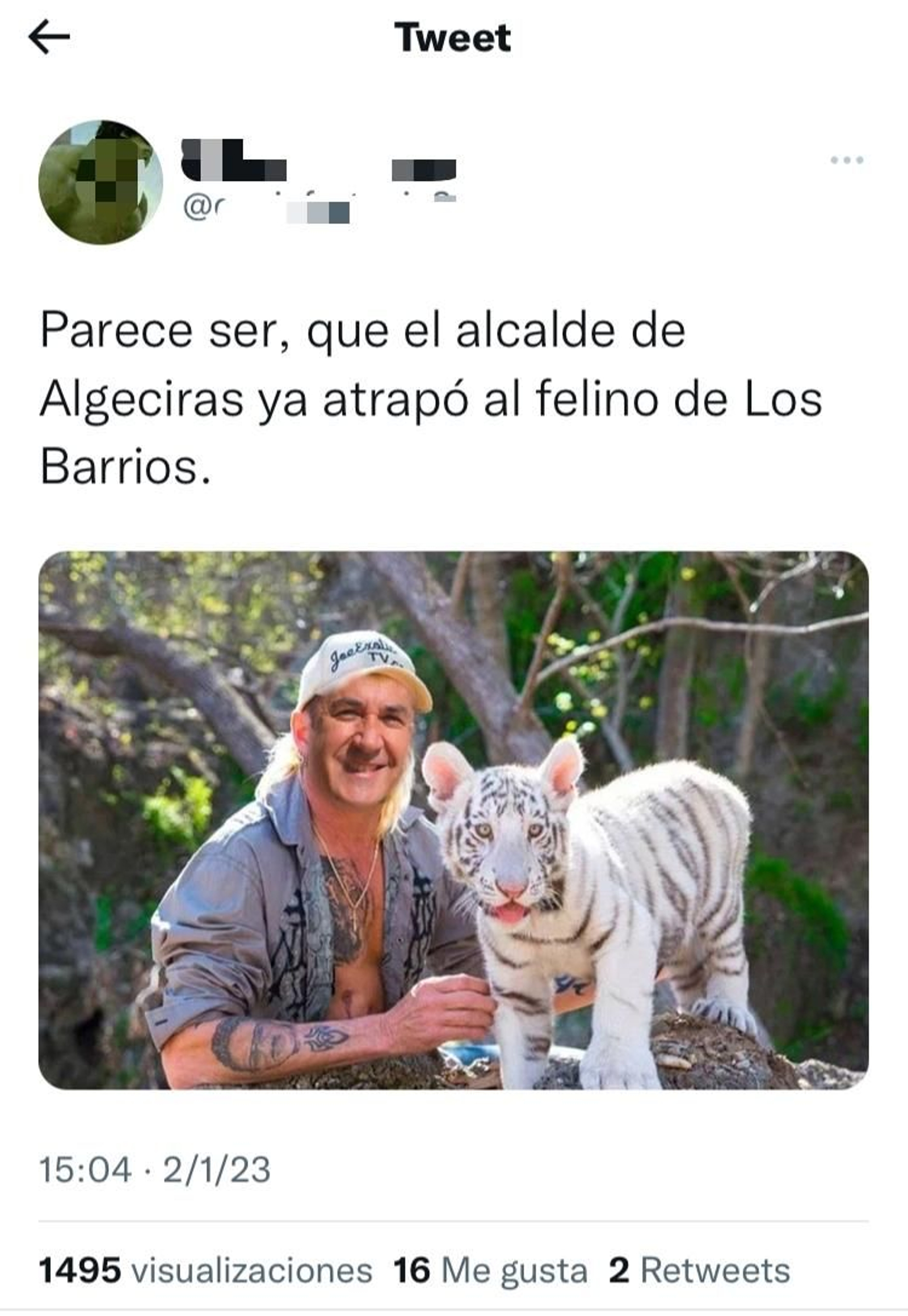 Montaje de José Ignacio Landaluce.