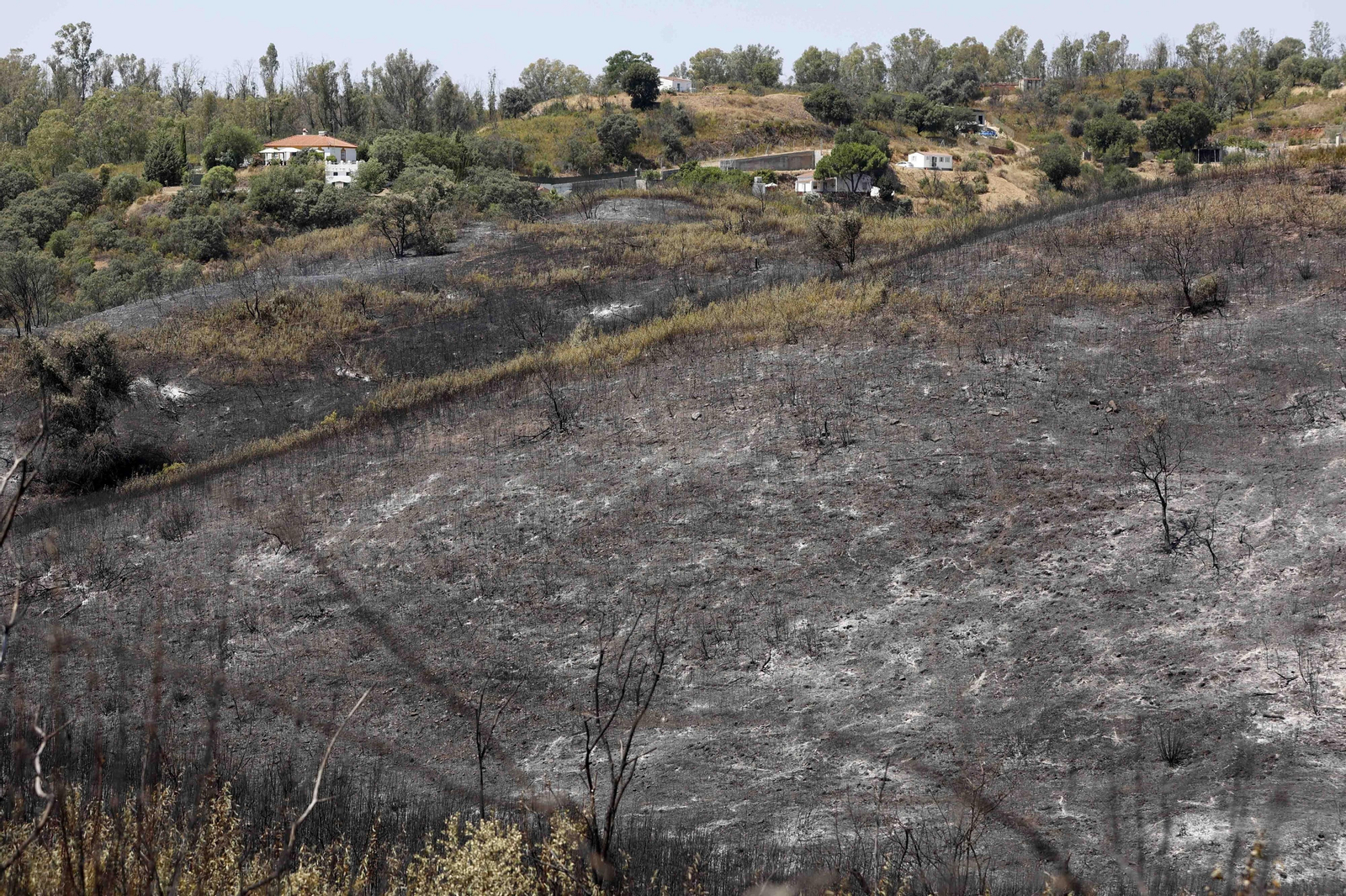 Los efectos del incendio en el Ronquillo en imágenes