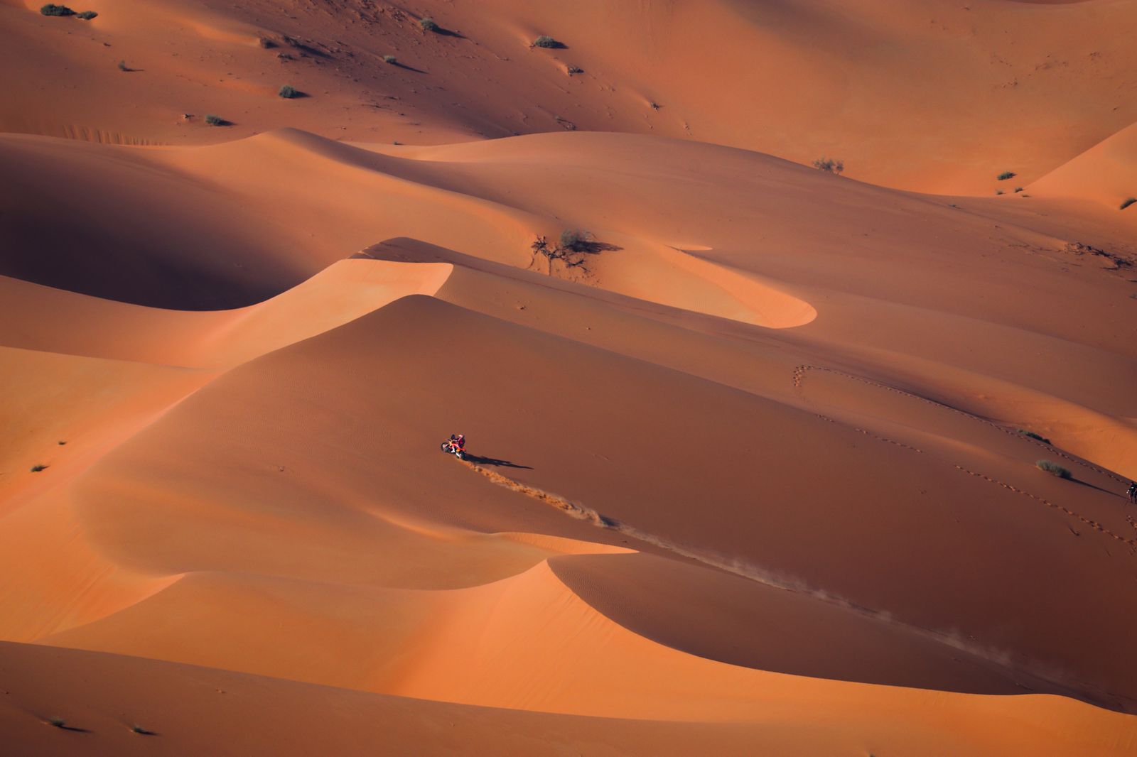 Las mejores fotos del Dakar por las dunas