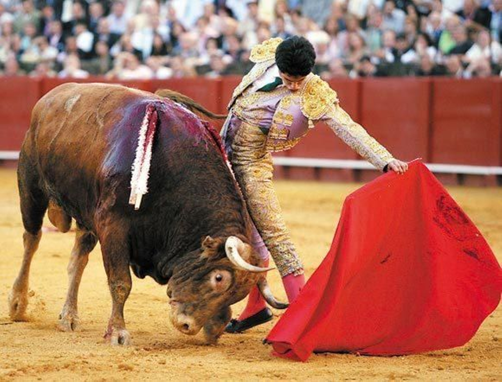 Alejandro Talavante: El natural de la feria 2007