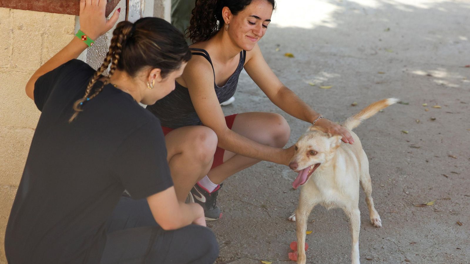 Voluntarias de la Protectora con un perro.