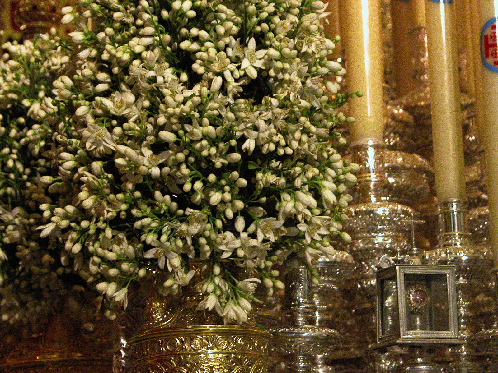 Las jarras con azahar del paso de María Santísima de la Concepción.