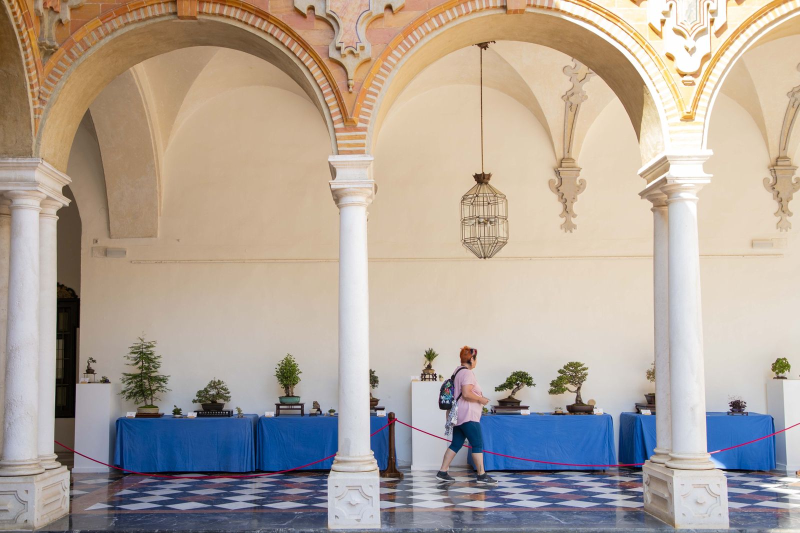 La Exposición de Bonsái de Primavera de Córdoba, en fotografías