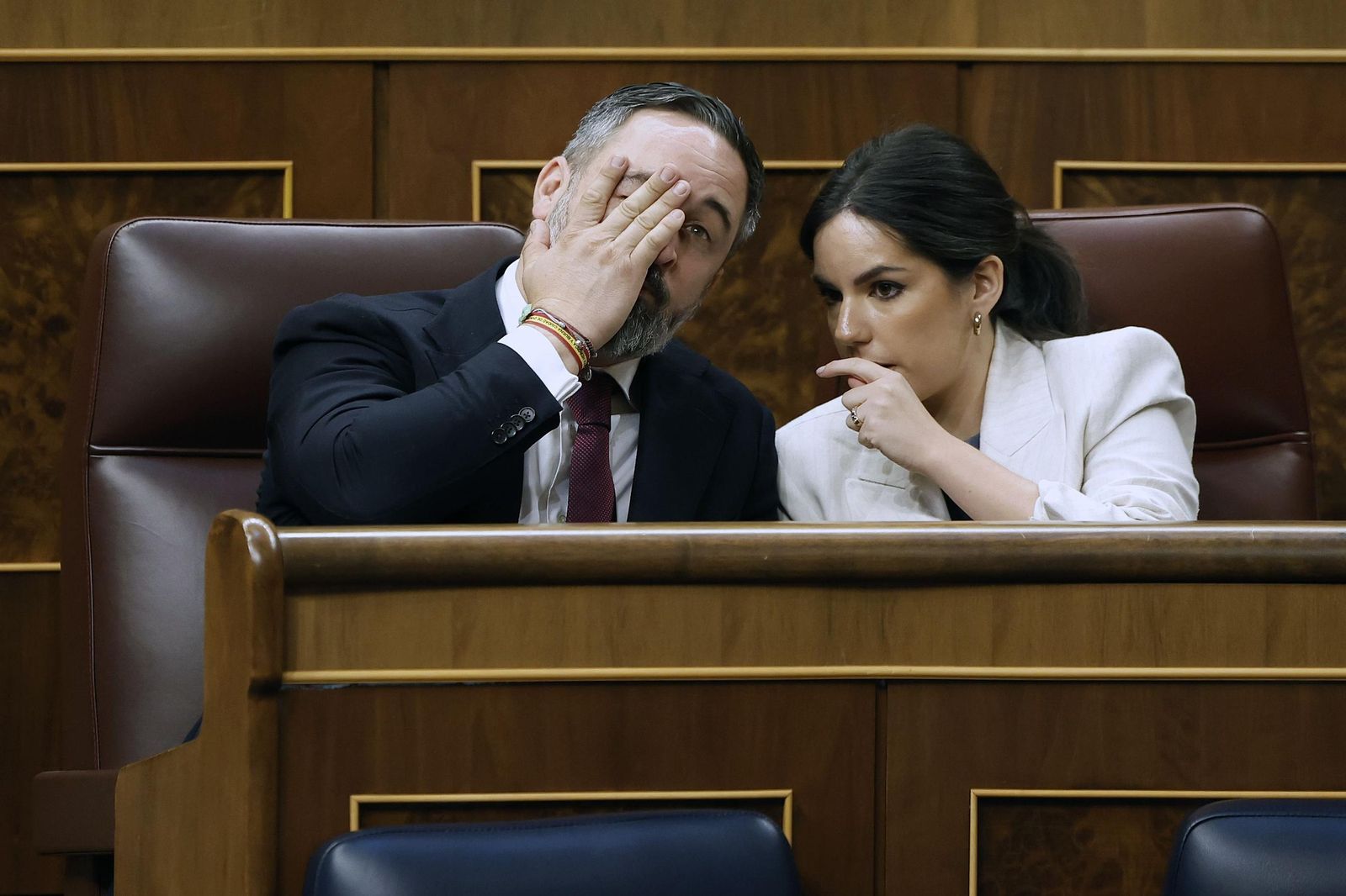 Santiago Abascal y Pepa Millán, en el Congreso.