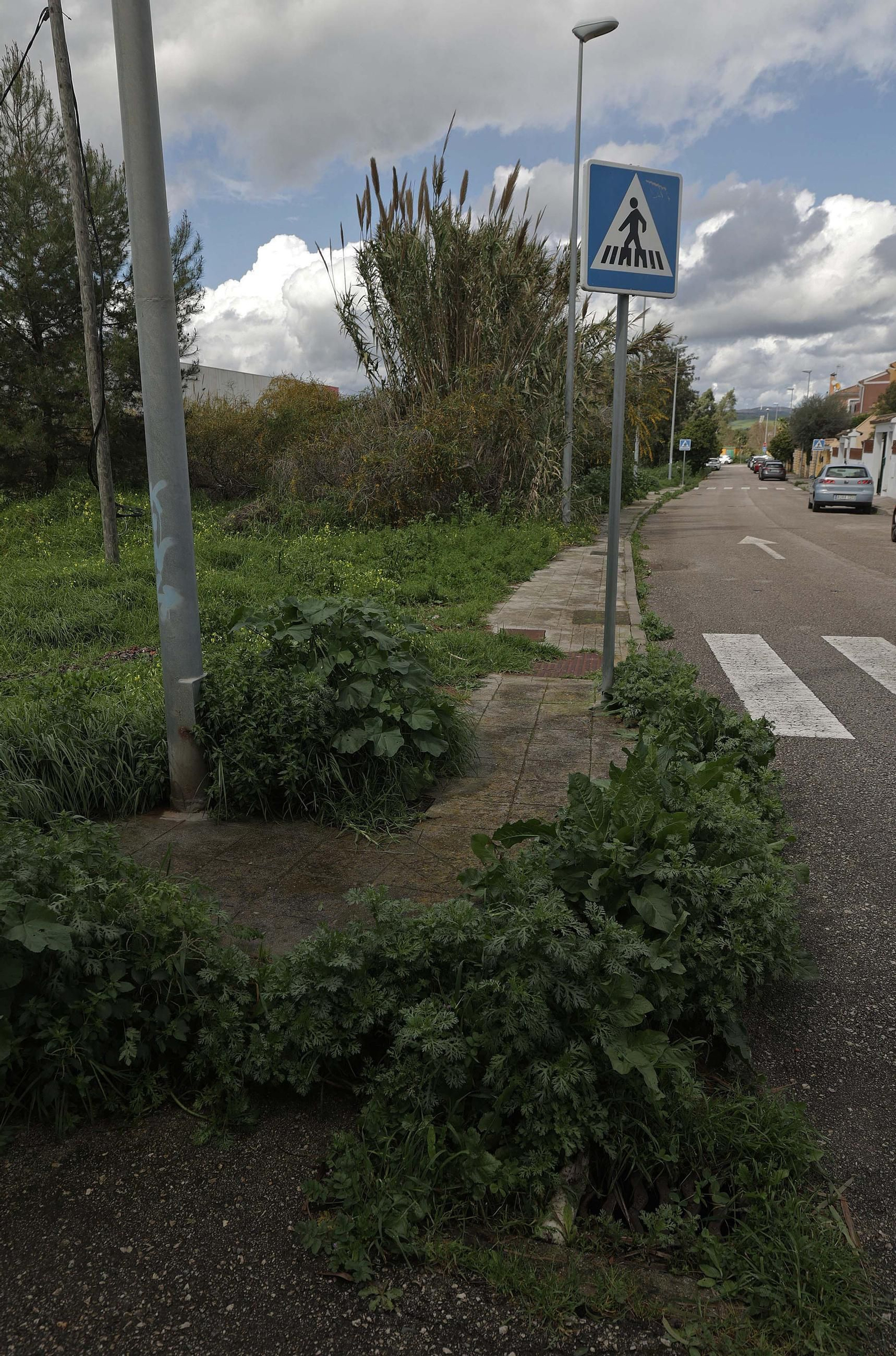 Fotos de los desperfectos e irregularidades en La Menacha