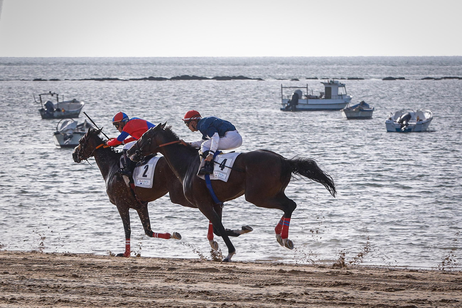Imágenes de la segunda jornada del ciclo inicial de las Carreras de Caballos de Sanlúcar 2025