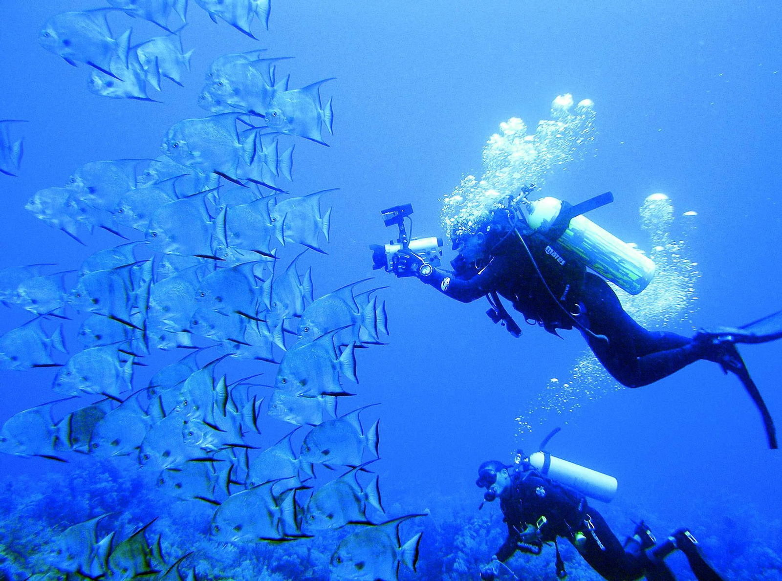 Buceador en el mar de Alborán.