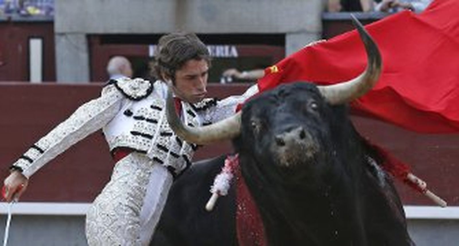 Robleño, soberbio estoqueador