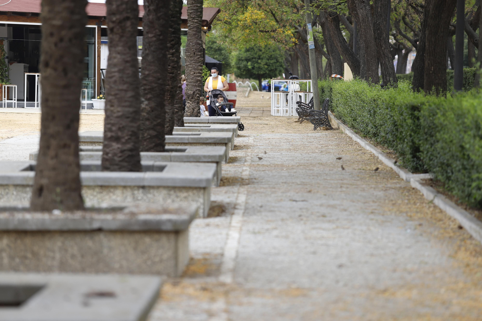 Imágenes del deterioro en la Avenida de Andalucía