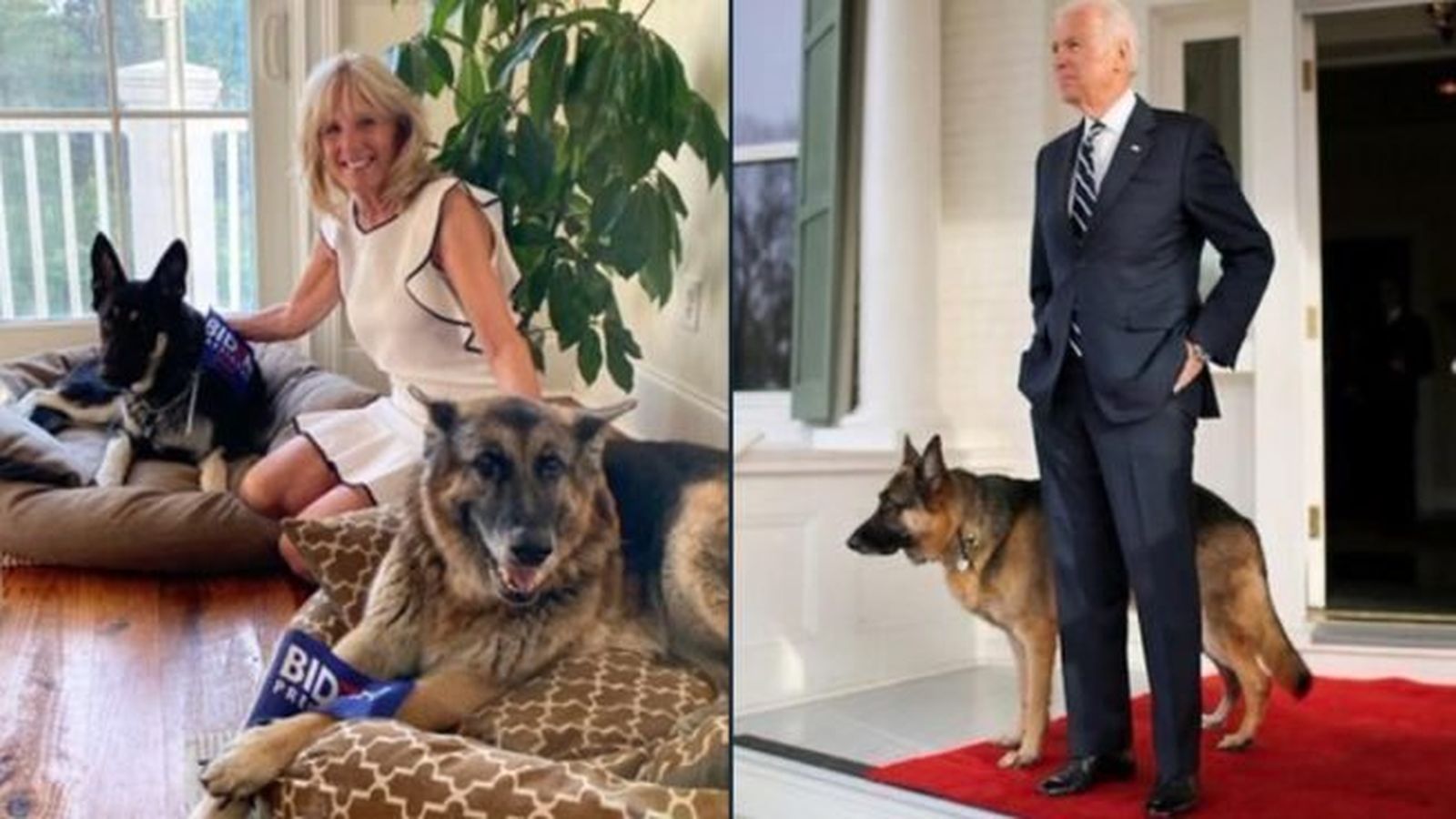 Joe Biden, con Major.