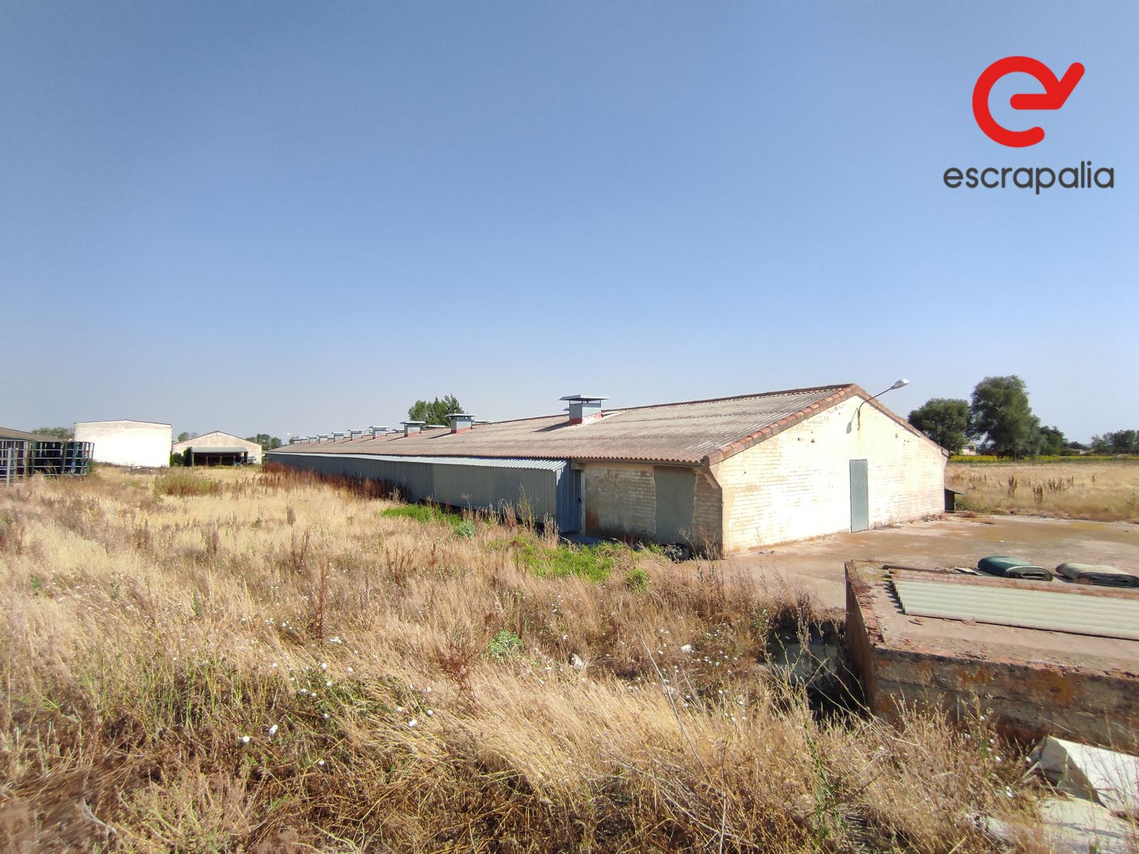 La granja de 43.000 metros cuadrados a subasta por 1 euro