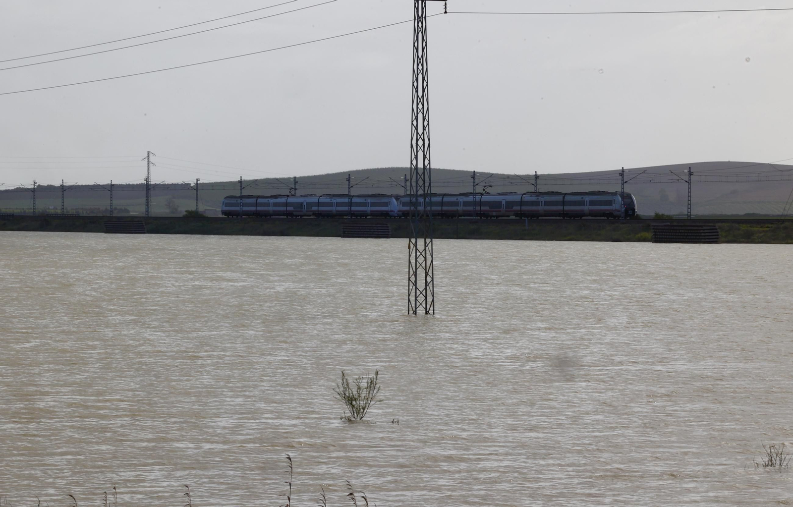El campo en Lebrija inundado tras las lluvias
