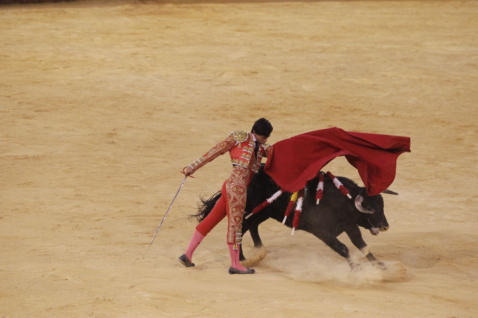 Fotogalería novillada Escuela Taurina de Almería. Feria de Almería 2019