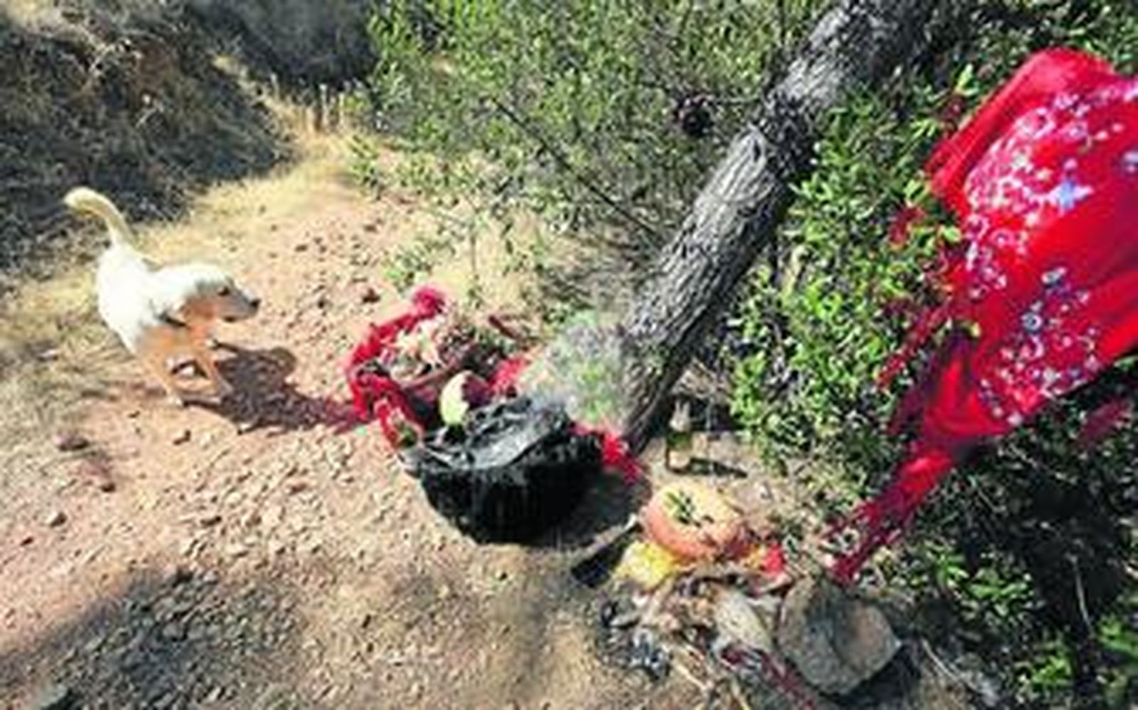 Escenario de un ritual de santería encontrado en el Monte Gibralfaro de la capital malagueña.
