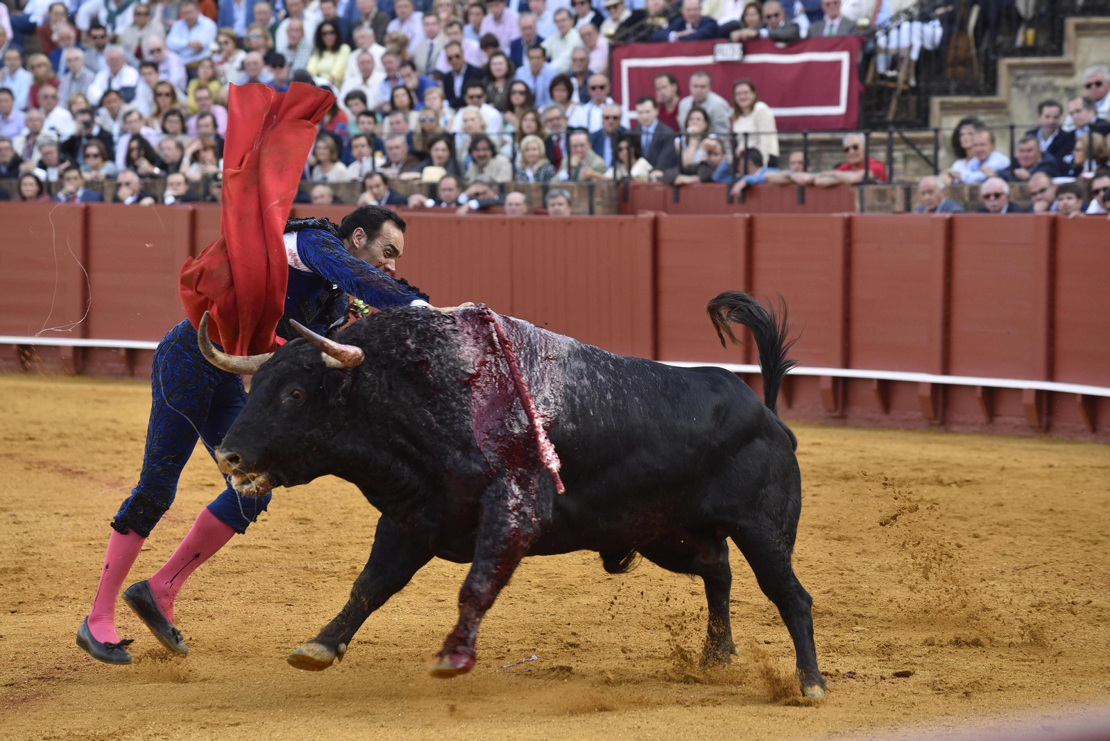 Manuel Jesús 'El Cid', con el segundo toro de la tarde.