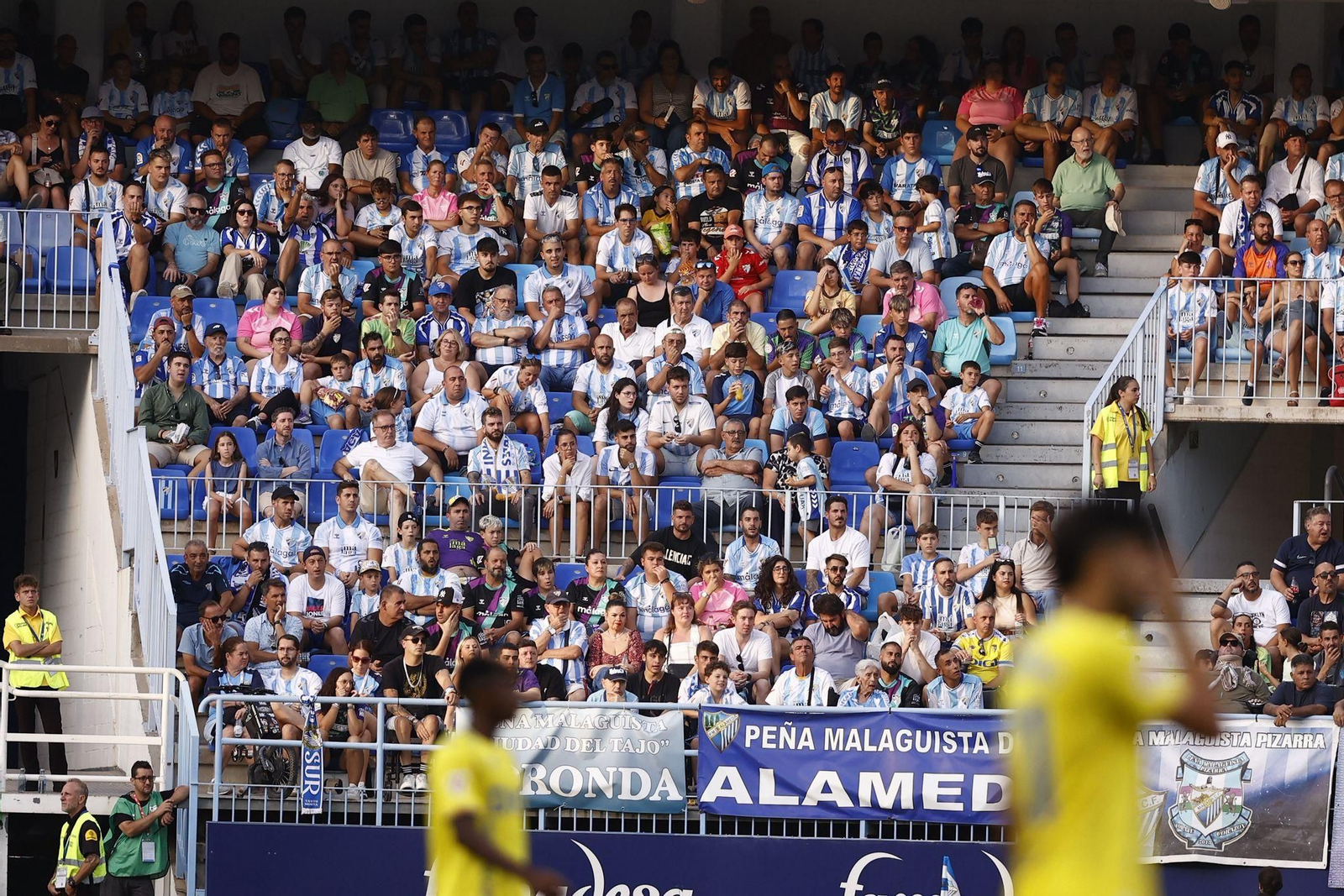 Búscate en las gradas de La Rosaleda durante el Málaga CF-Cádiz