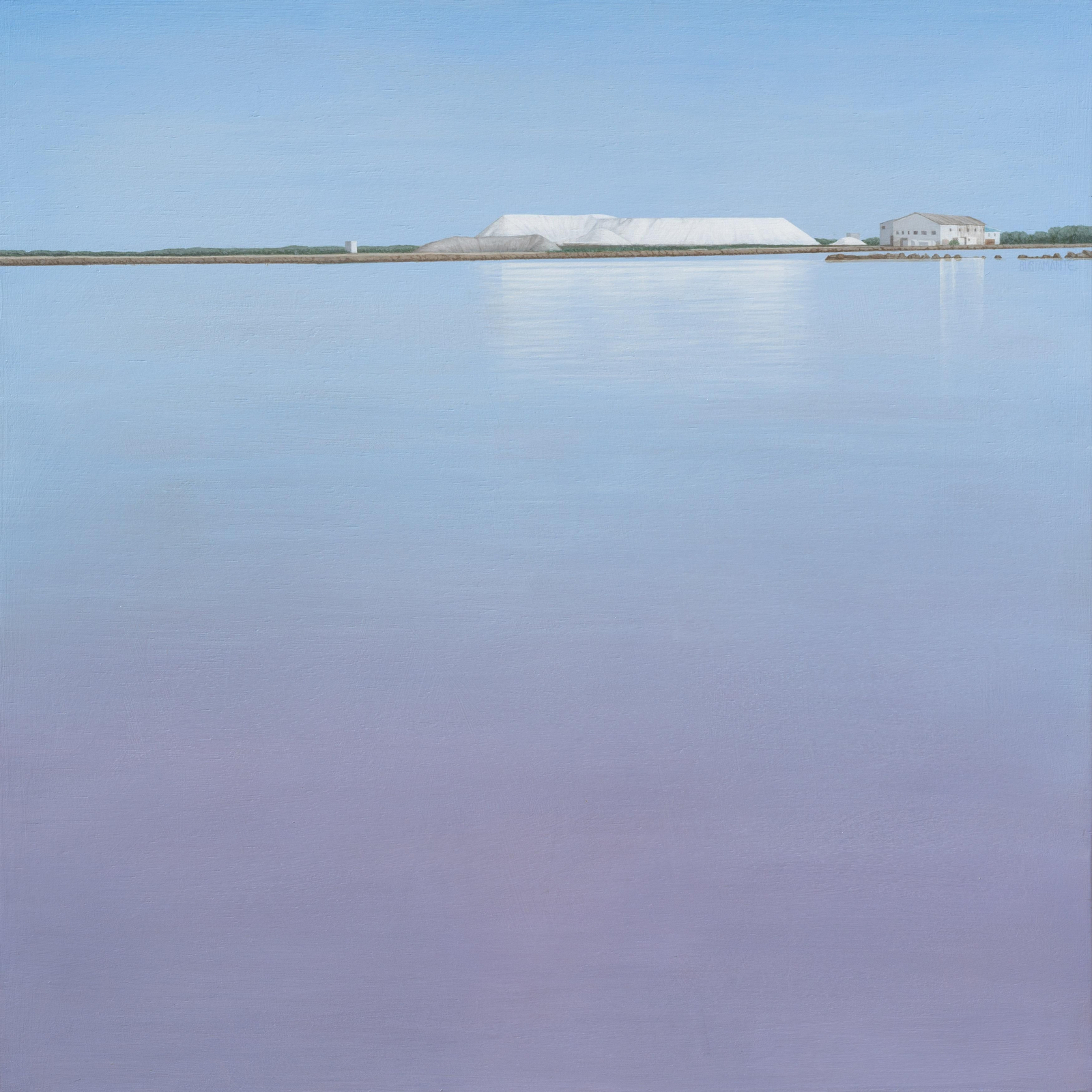 ‘Esparce tu memoria por las grietas del tiempo...’, obra de Carmen Bustamante.