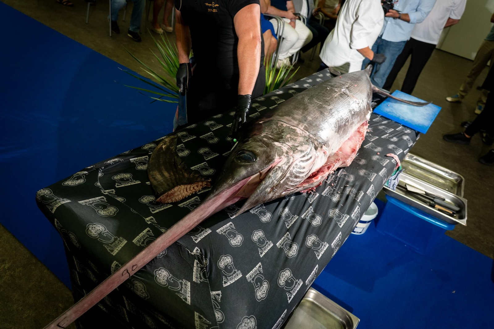 El congreso 'MareTerra' ha deparado el ronqueo de un pez espada.