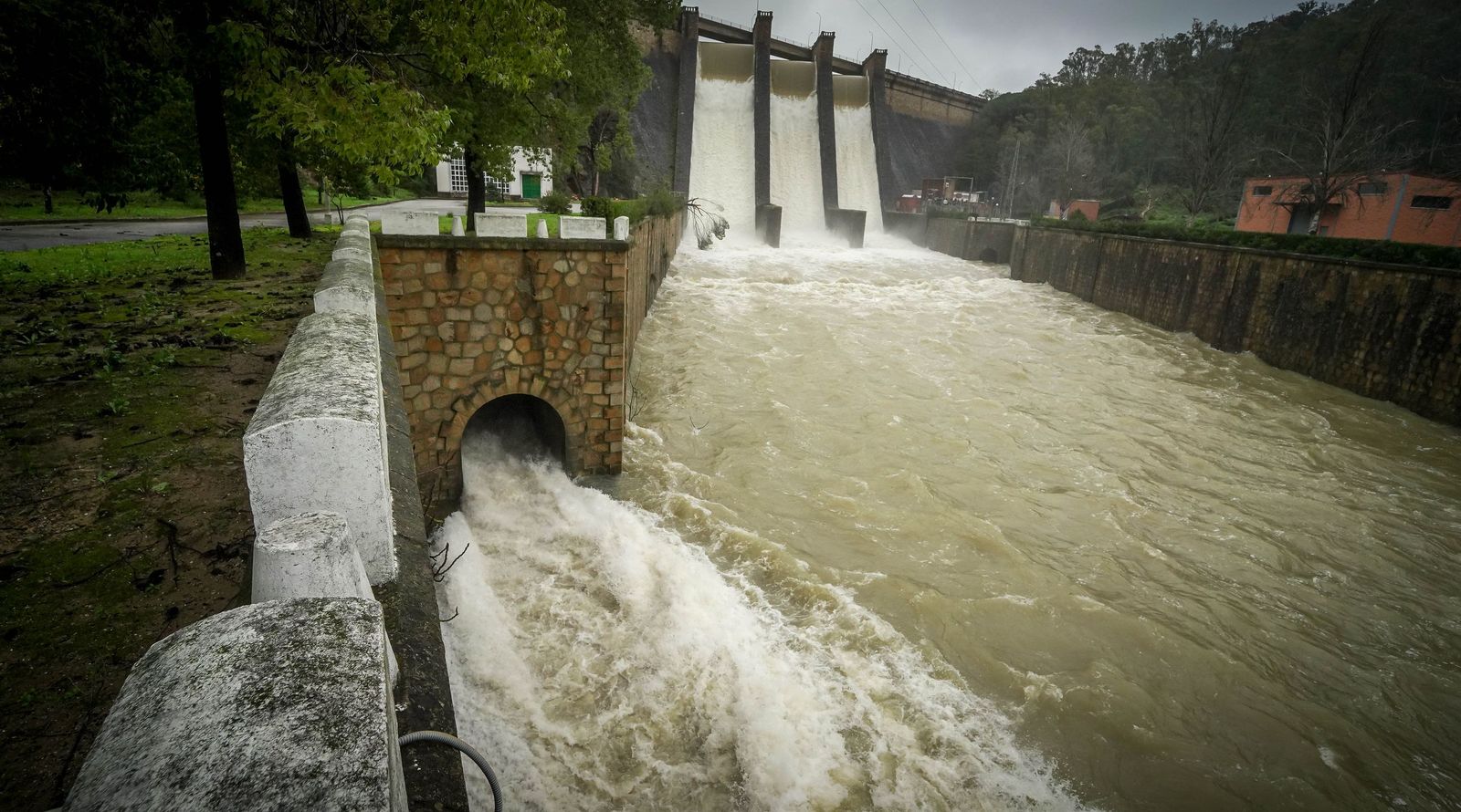 Imágenes del estado actual de los embalses de los Hurones, Guadalcacín y Bornos