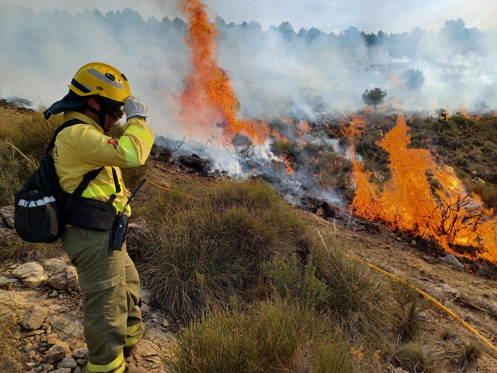 Quema prescrita del Infoca en Cortijo Clavero de Dalías