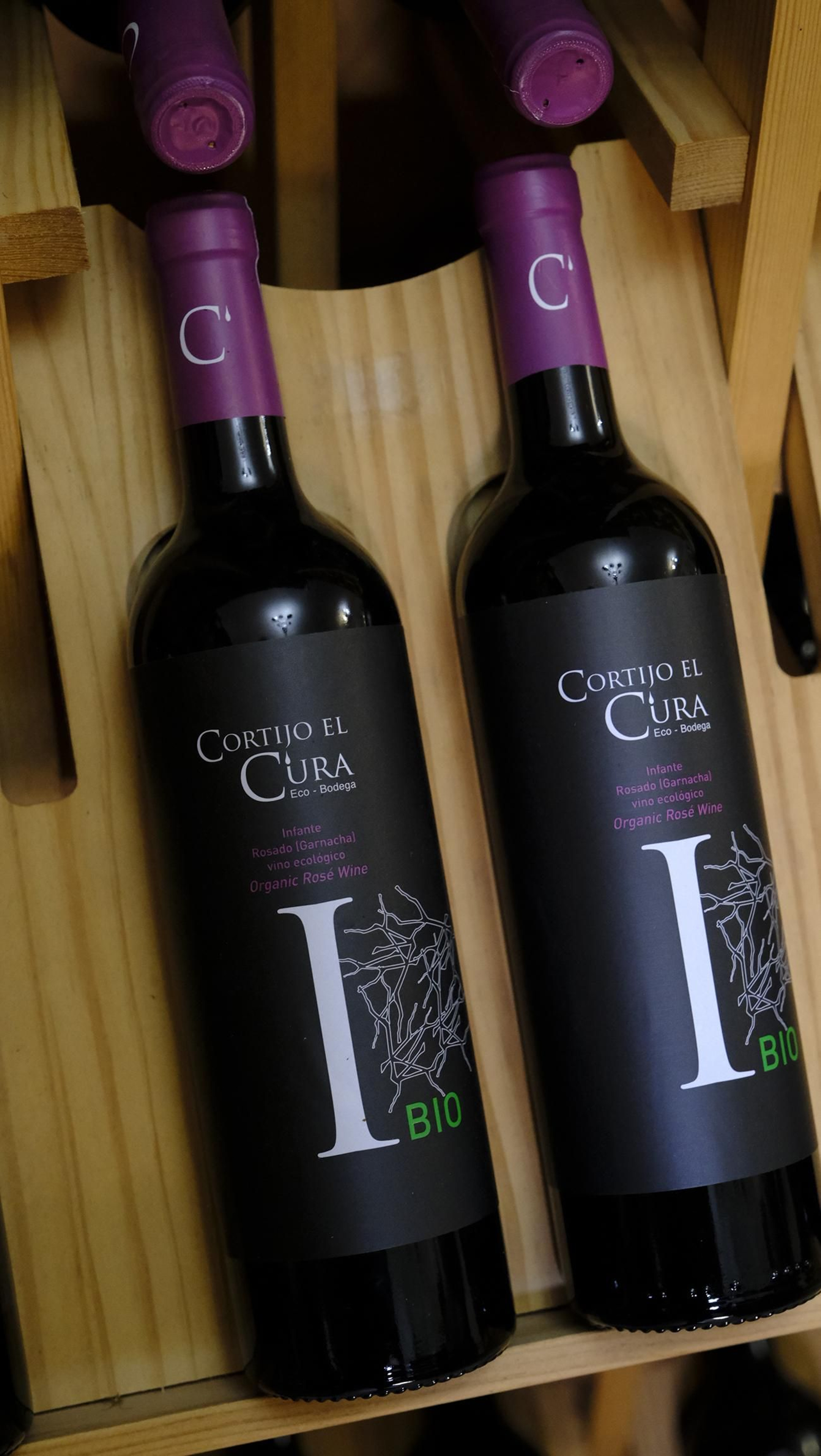La vendimia en la Bodega Cortijo del Cura de Laujar, en imágenes