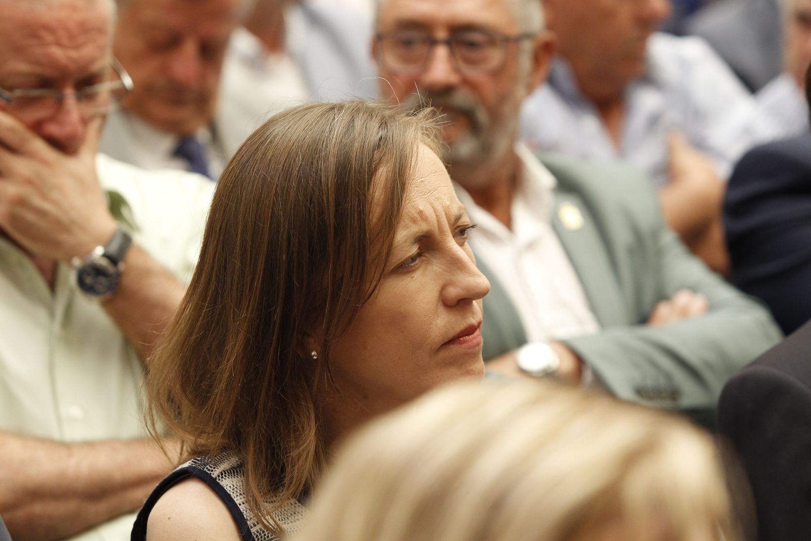 Pleno investidura Presidente Diputación de Almería. Javier Aureliano García