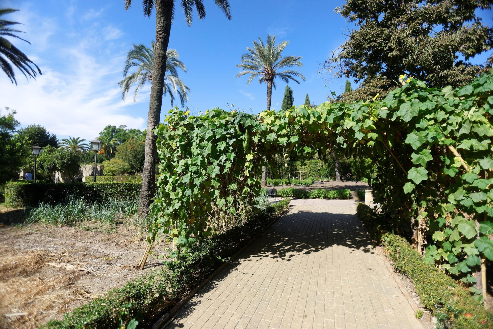 Un paseo en imágenes por el Real Jardín Botánico de Córdoba