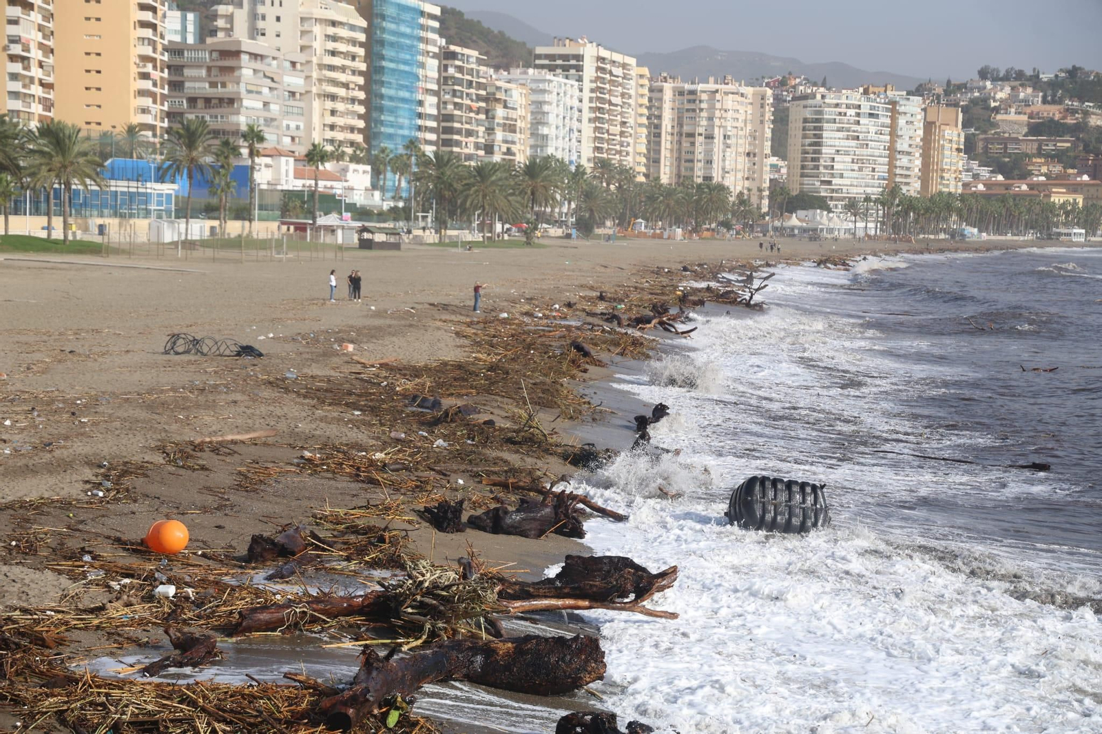 Las playas de Málaga despiertan con el agua revuelta y llenas de cañas