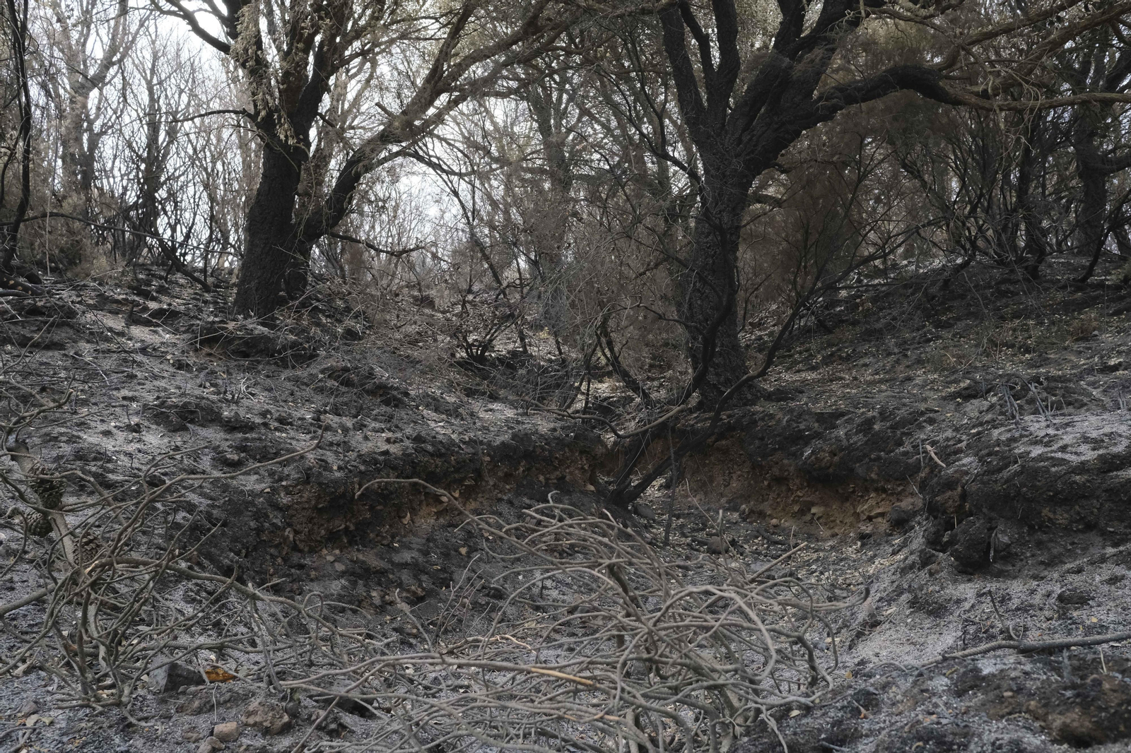 El incendio de Sierra Bermeja una semana después, en fotos