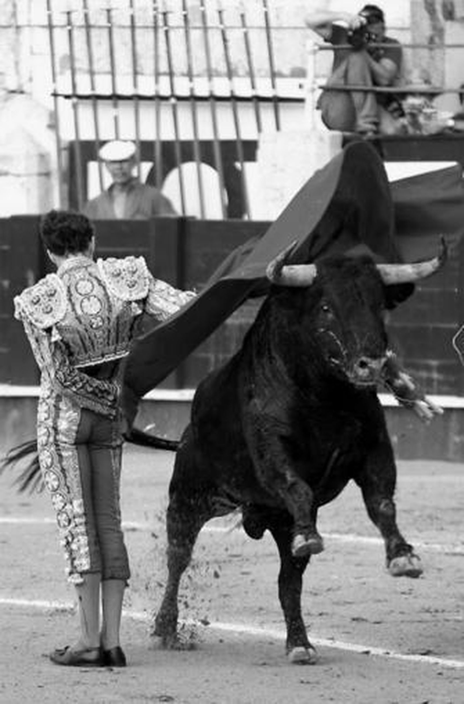 Manoletina de José Tomás en el epílogo de su primera faena.