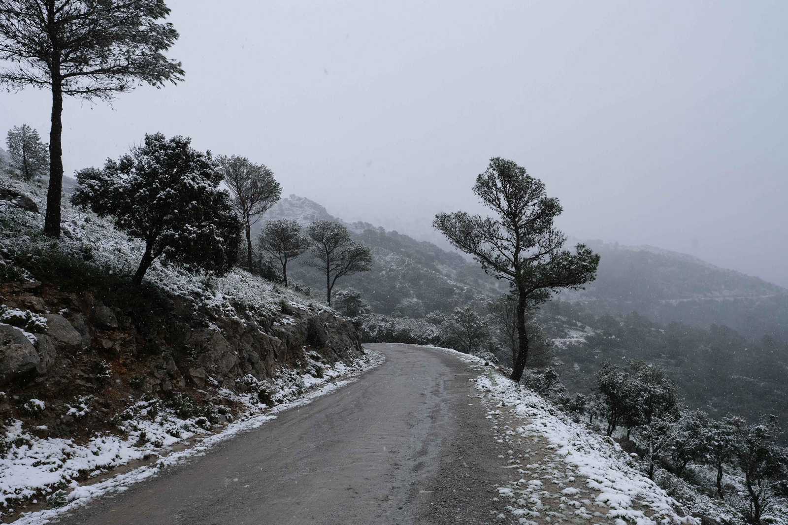La nueva nevada  en el Parque Nacional Sierra de las Nieves, en fotos