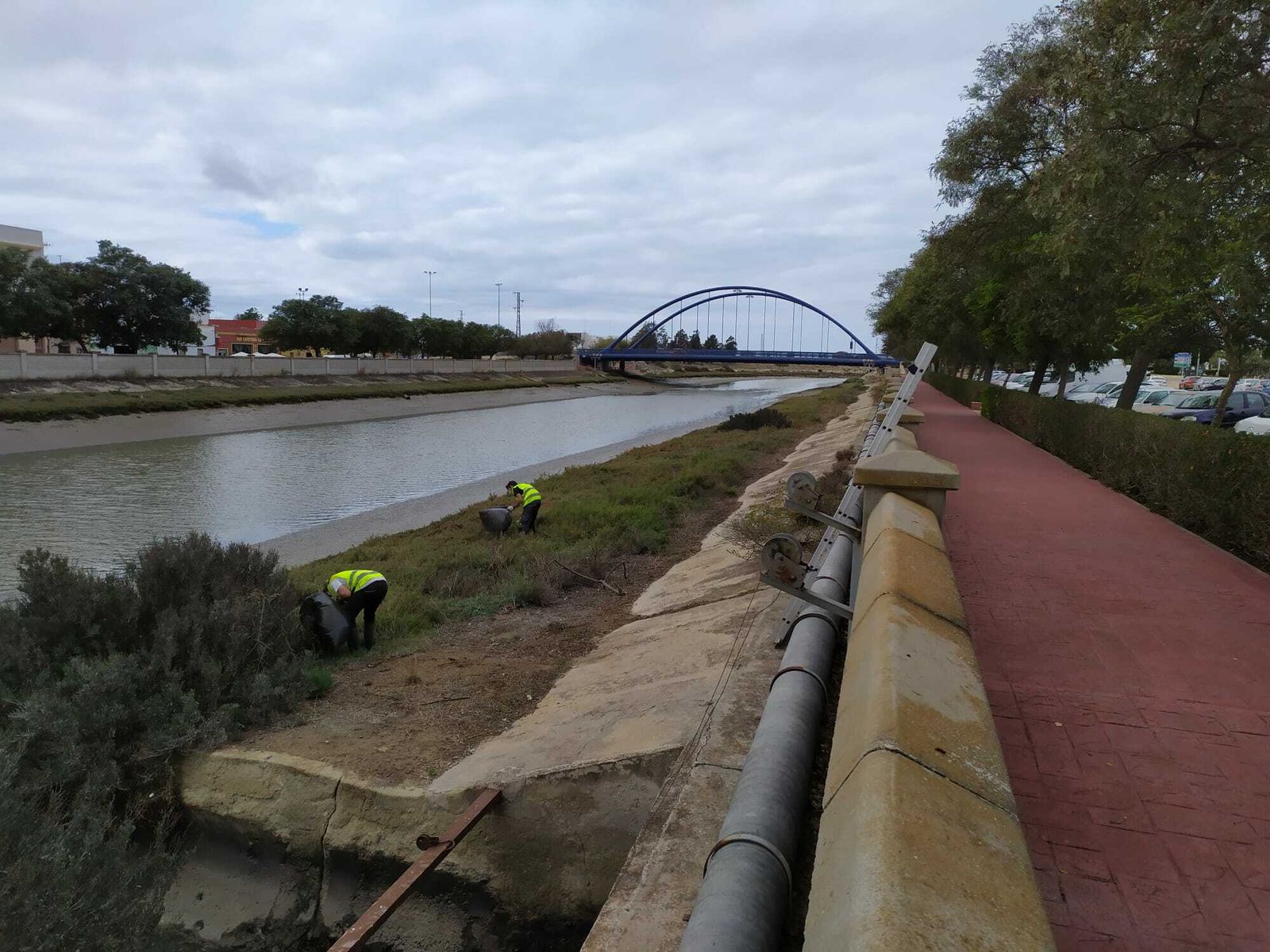 Trabajos de retirada de basura que se llevan a cabo en el río.