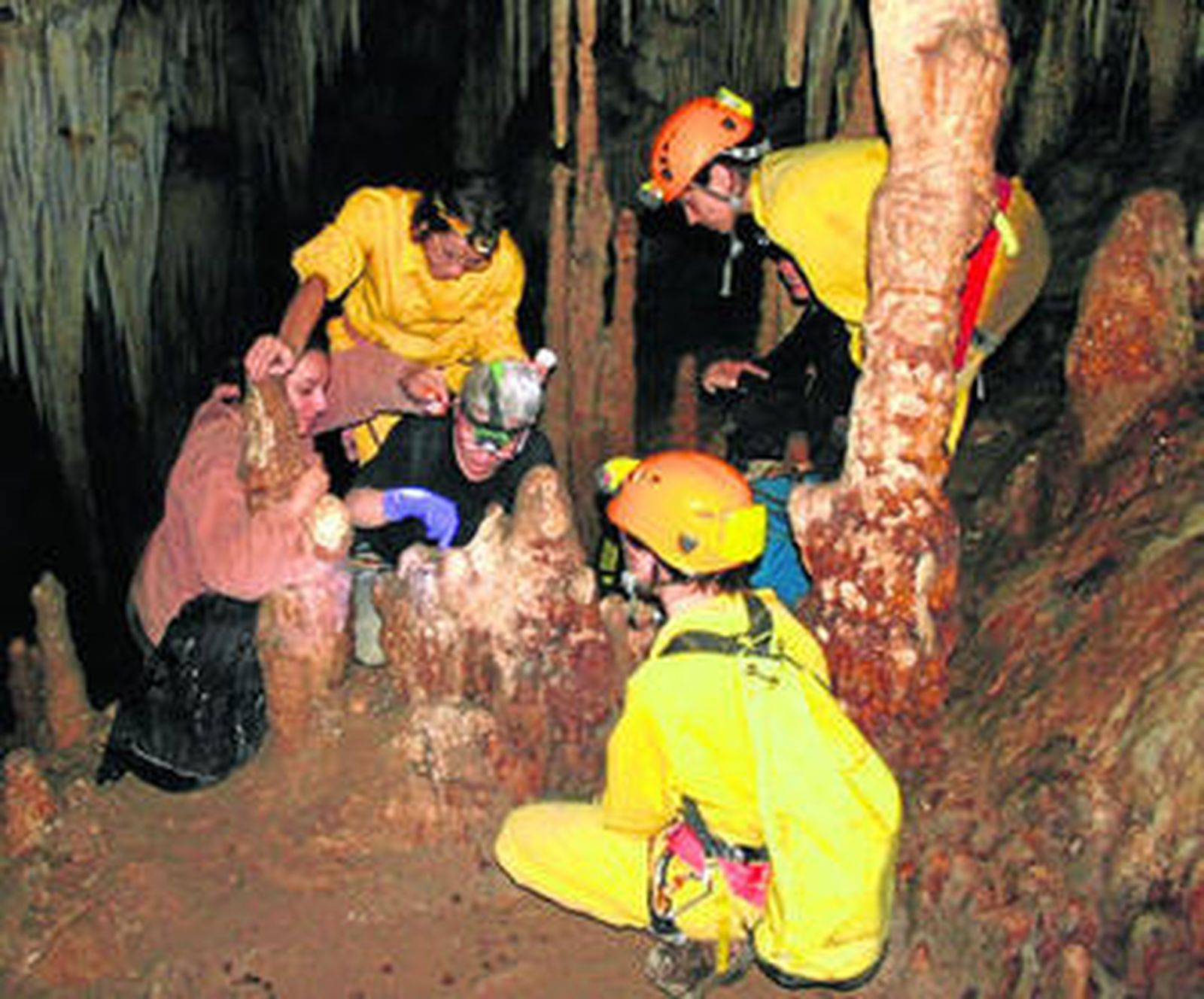 Los expertos trabajando en el interior de la Cueva de Nerja.