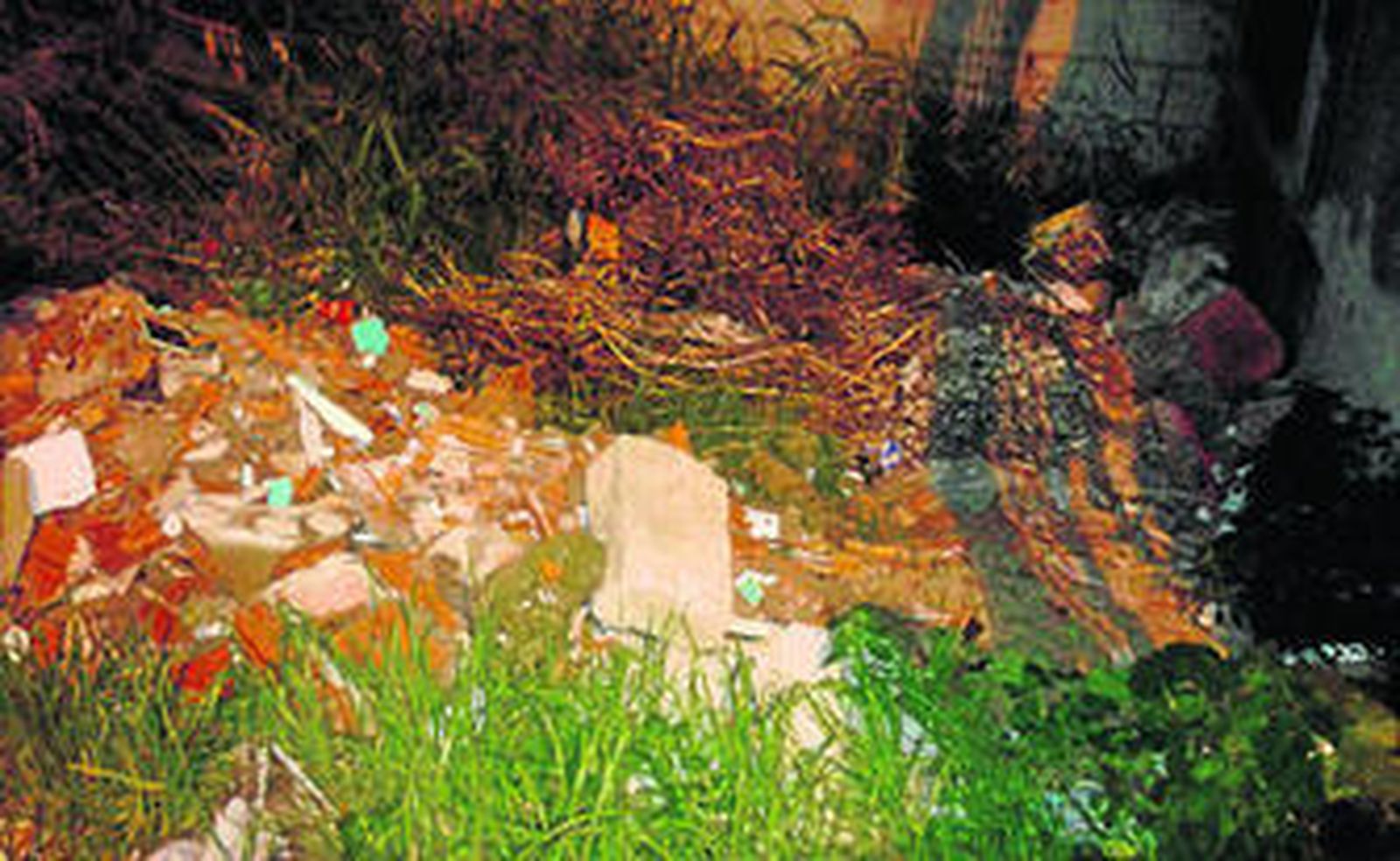 Imagen de la suciedad que se acumula en el solar de la calle.