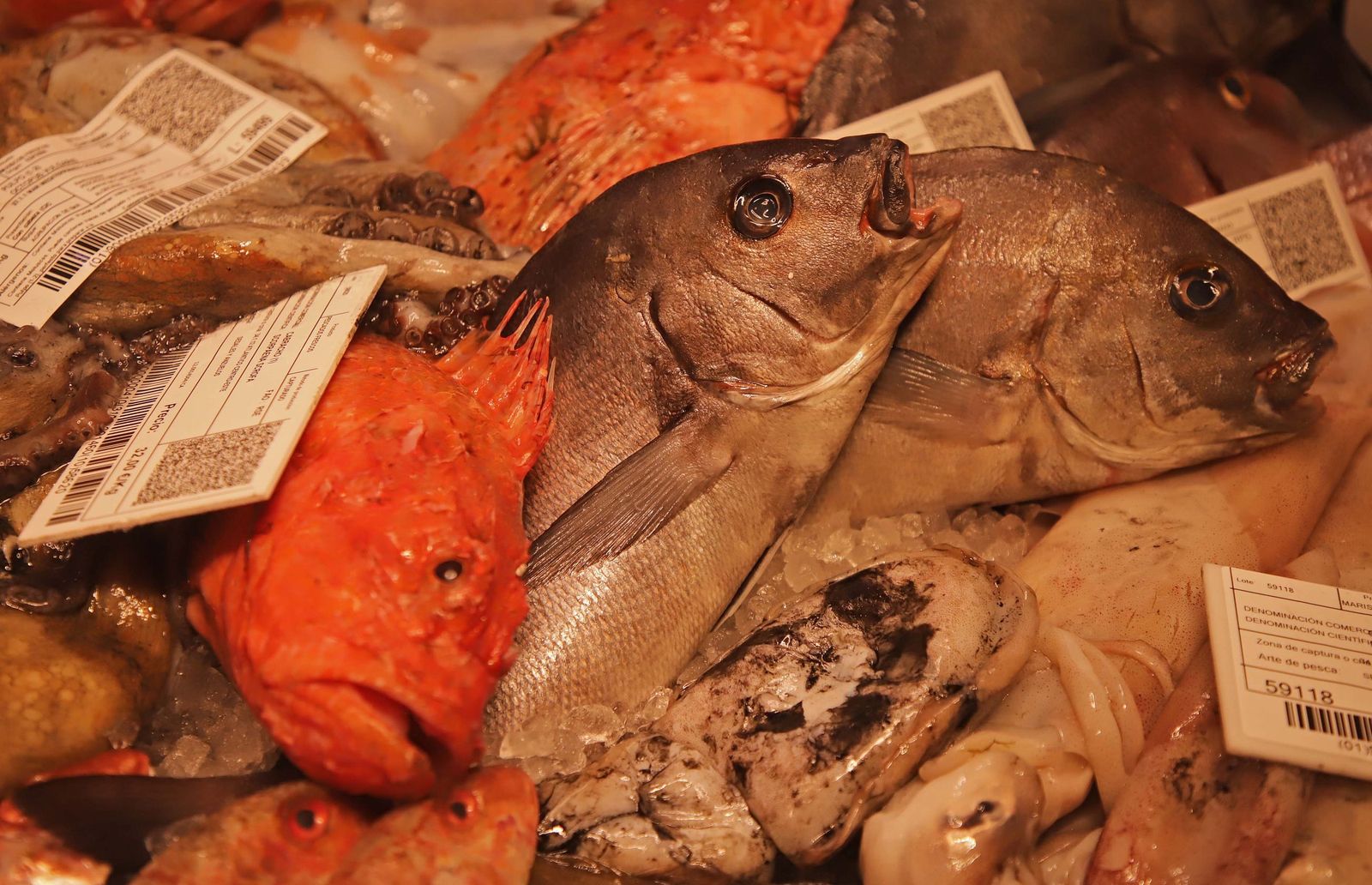 Fotos de las últimas compras para la cena de Nochebuena en Algeciras