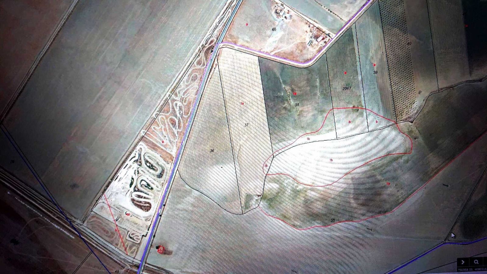 La zona de Trebujena donde está proyectada la instalación de la planta solar fotovoltaica aprobada por el Pleno del Ayuntamiento.