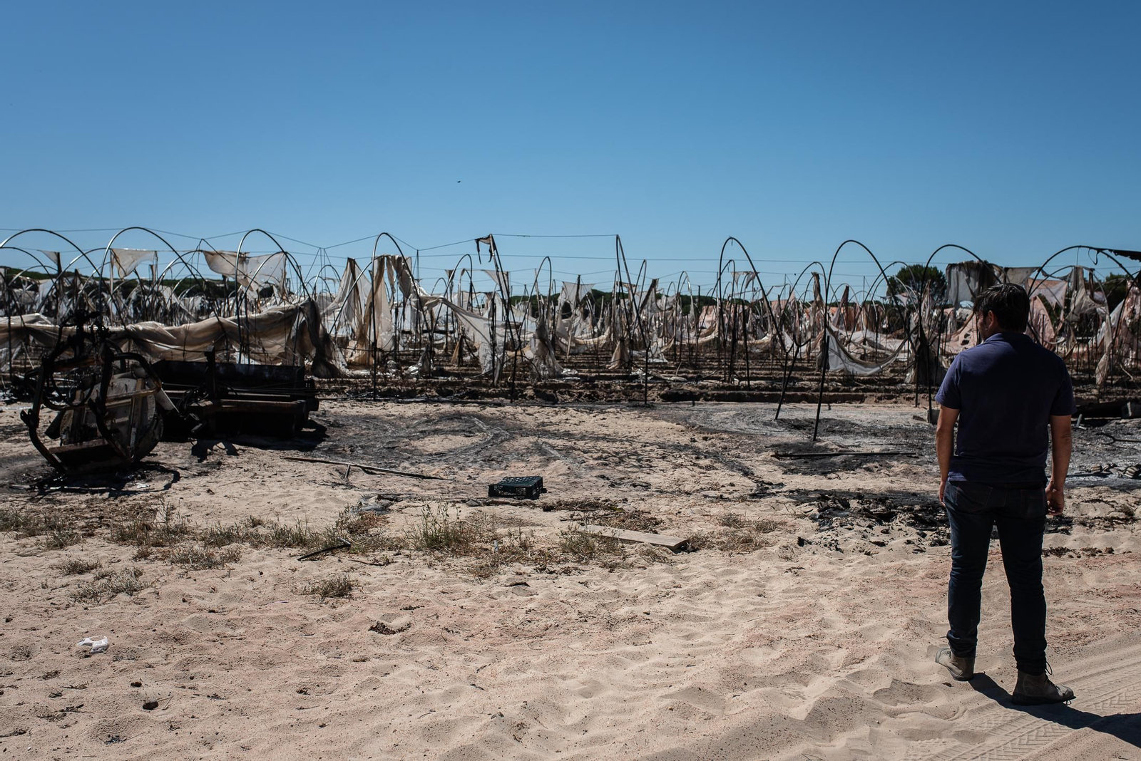 El rastro del incendio de Almonte en imágenes