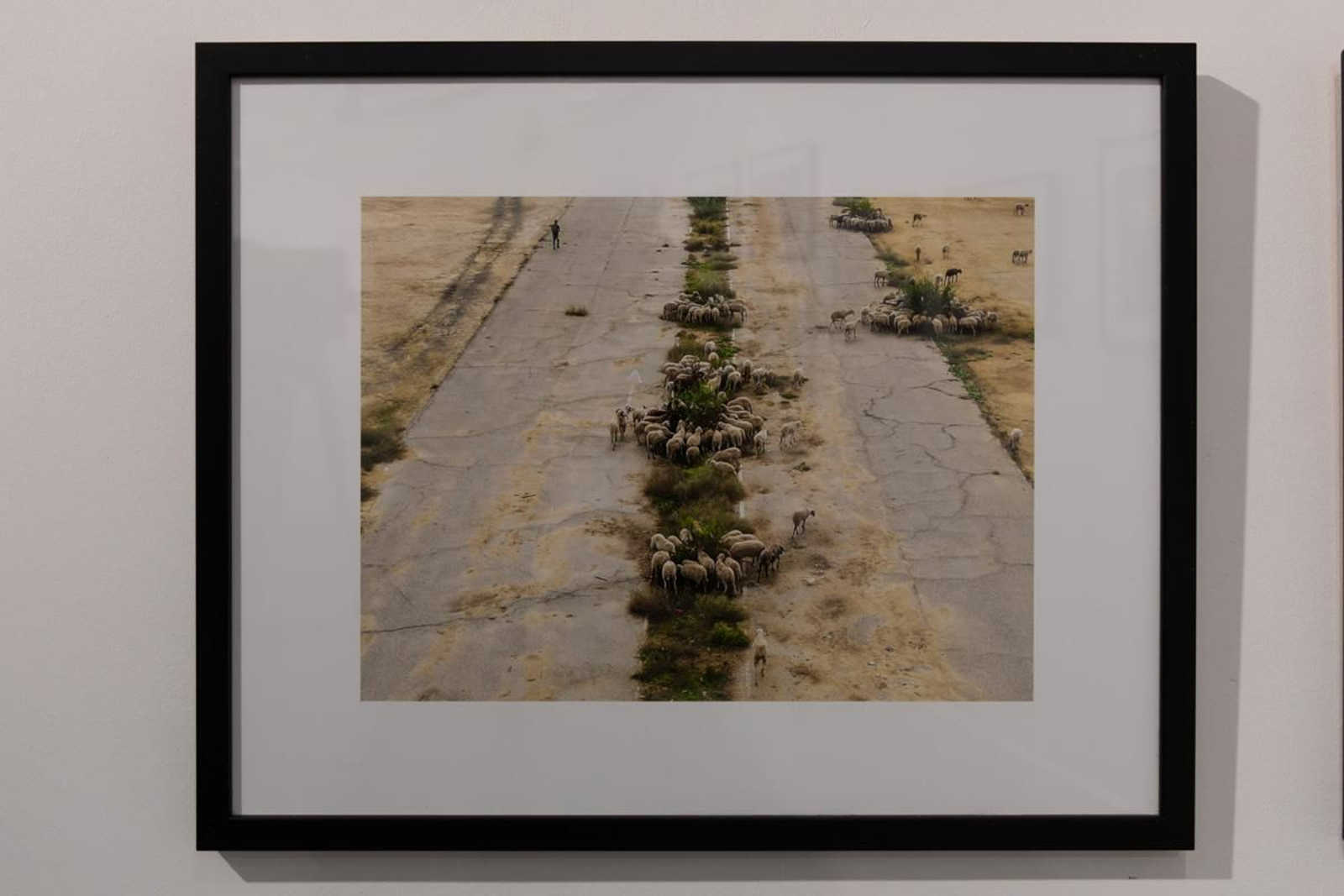 Exposición La Tierra, corazón de la vida, en imágenes