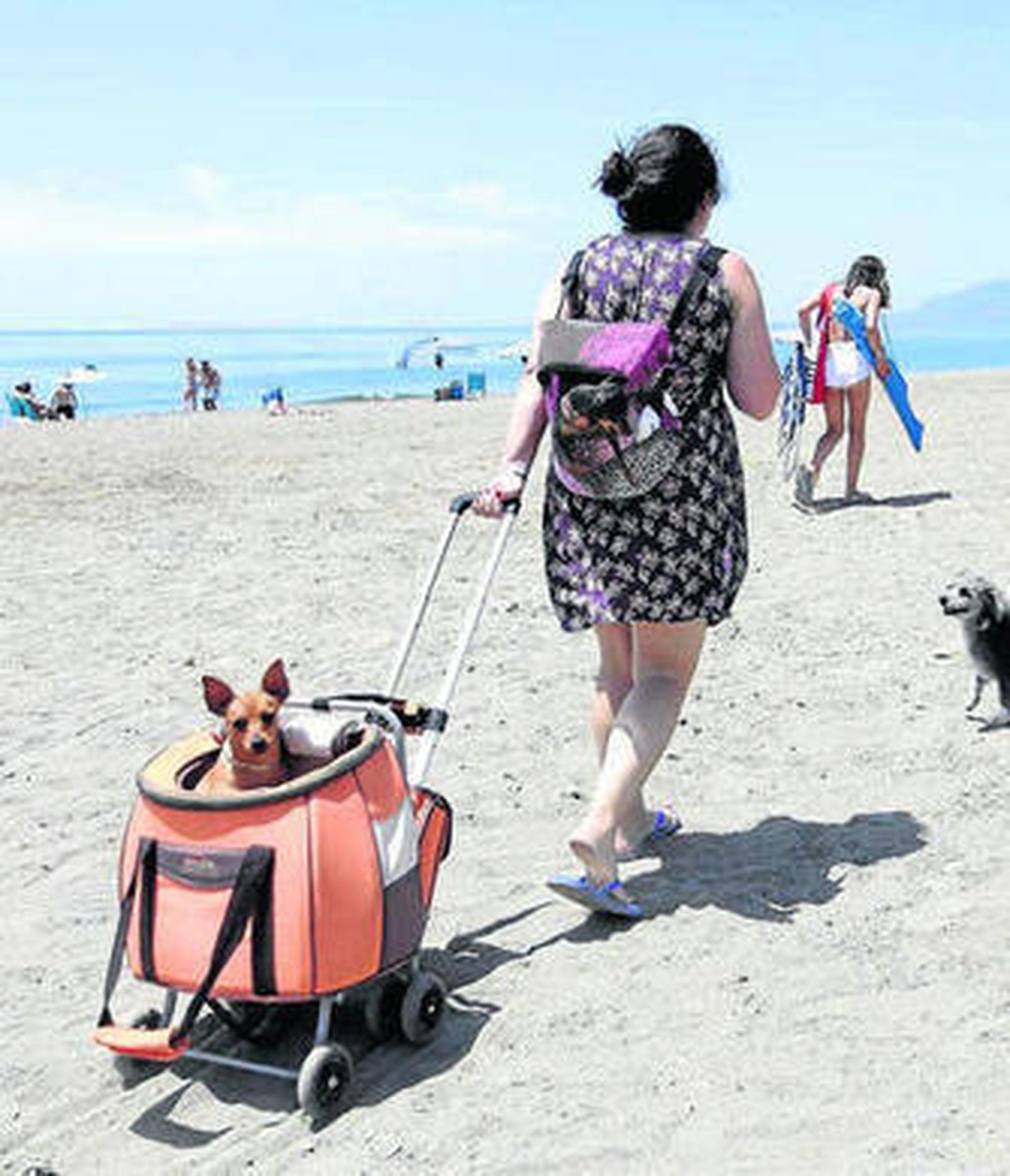 Una mujer acude con su perro a la playa de Totalán, en Málaga.