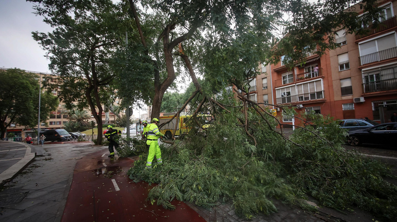 Caos en Jerez por los destrozos del temporal de viento