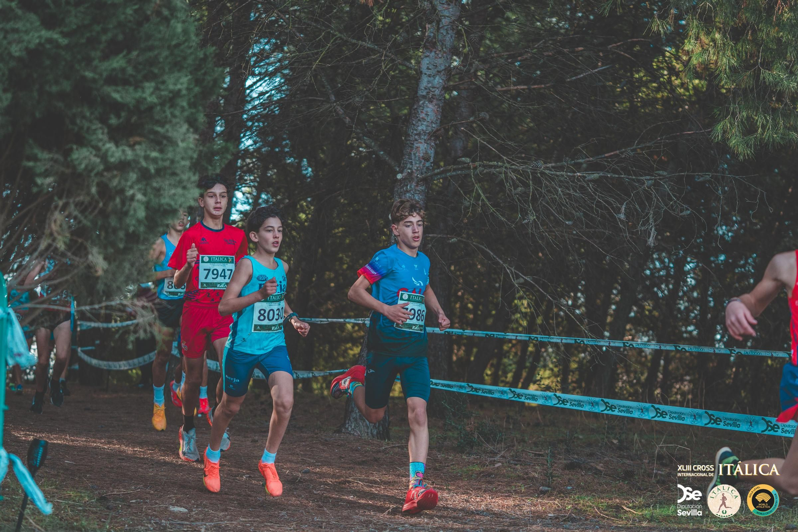 Búscate en las fotos del Cross de Itálica 2025 | 7