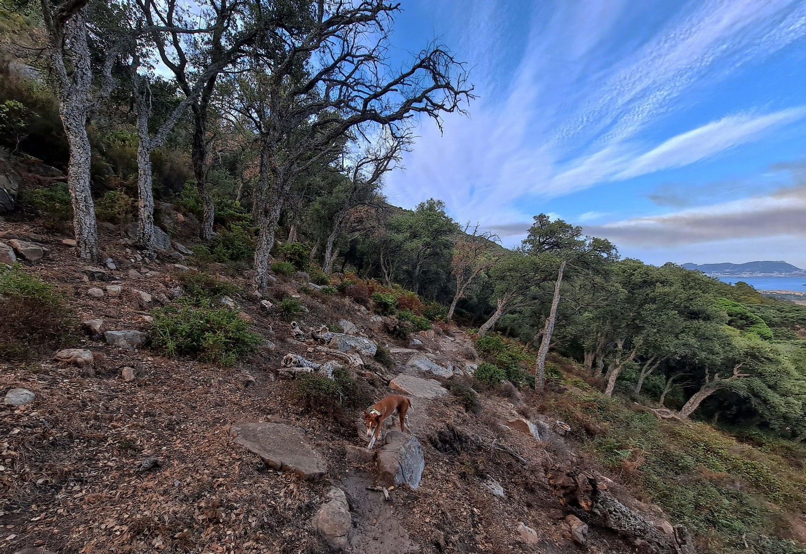 Fotos del sendero del Chorro de Pelayo en Algeciras