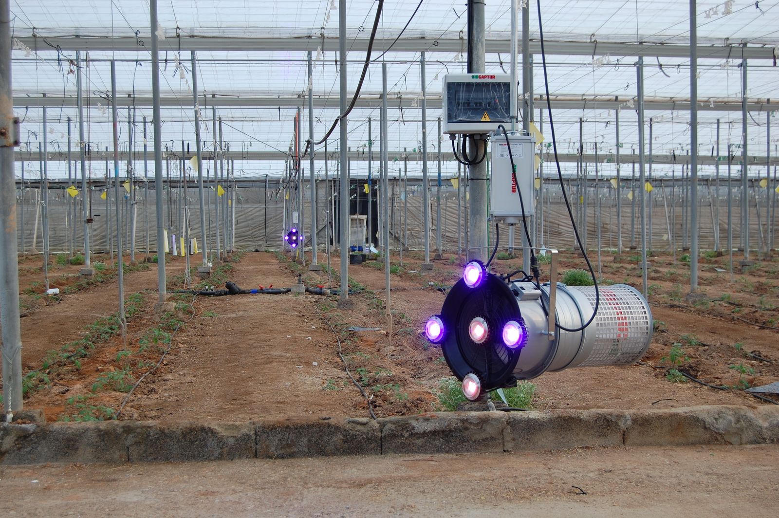 Biocaptur S50, funcionando en el inicio del ciclo de cultivo, tras ser instalado antes del trasplante.