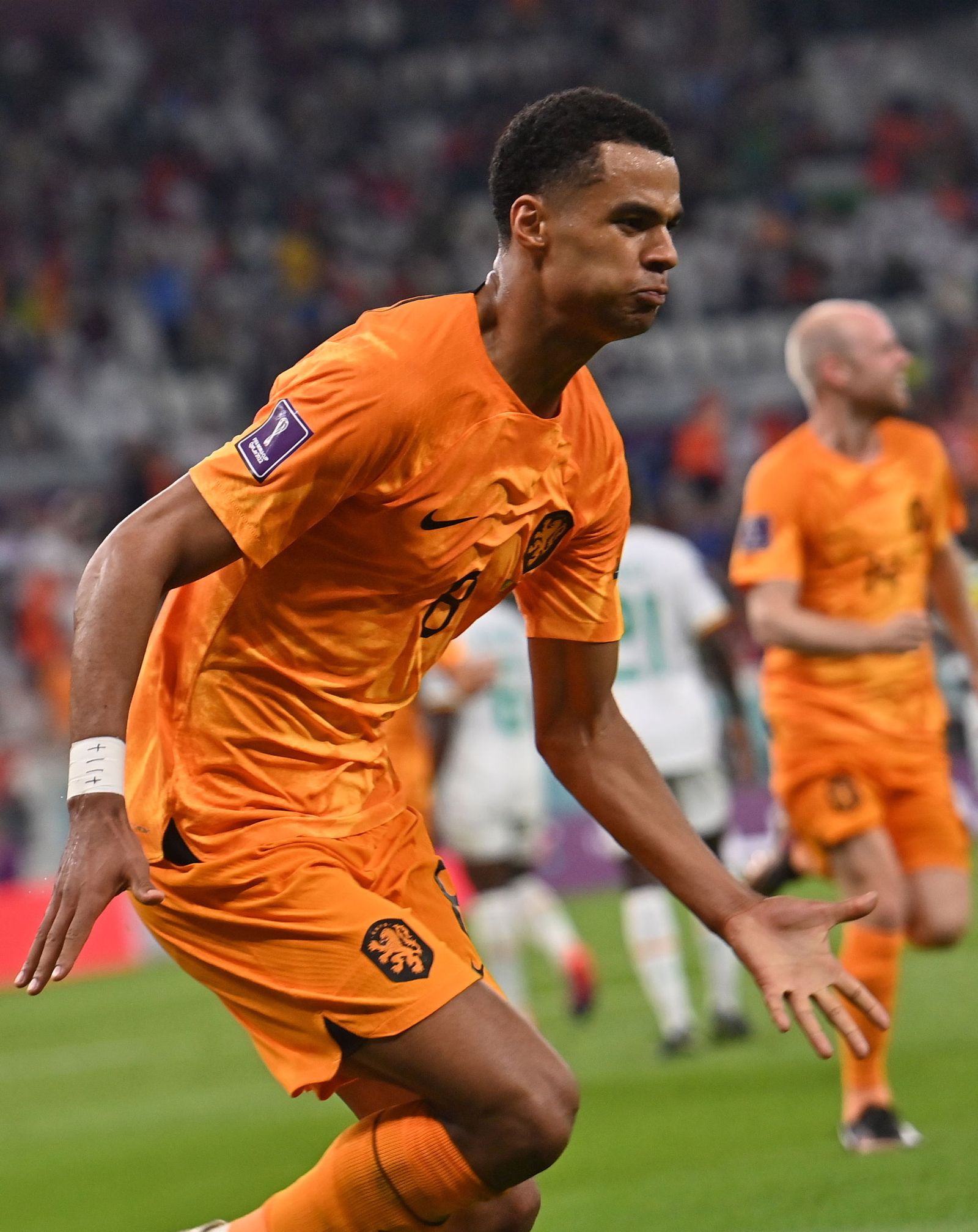 Las imágenes del Senegal - Países Bajos